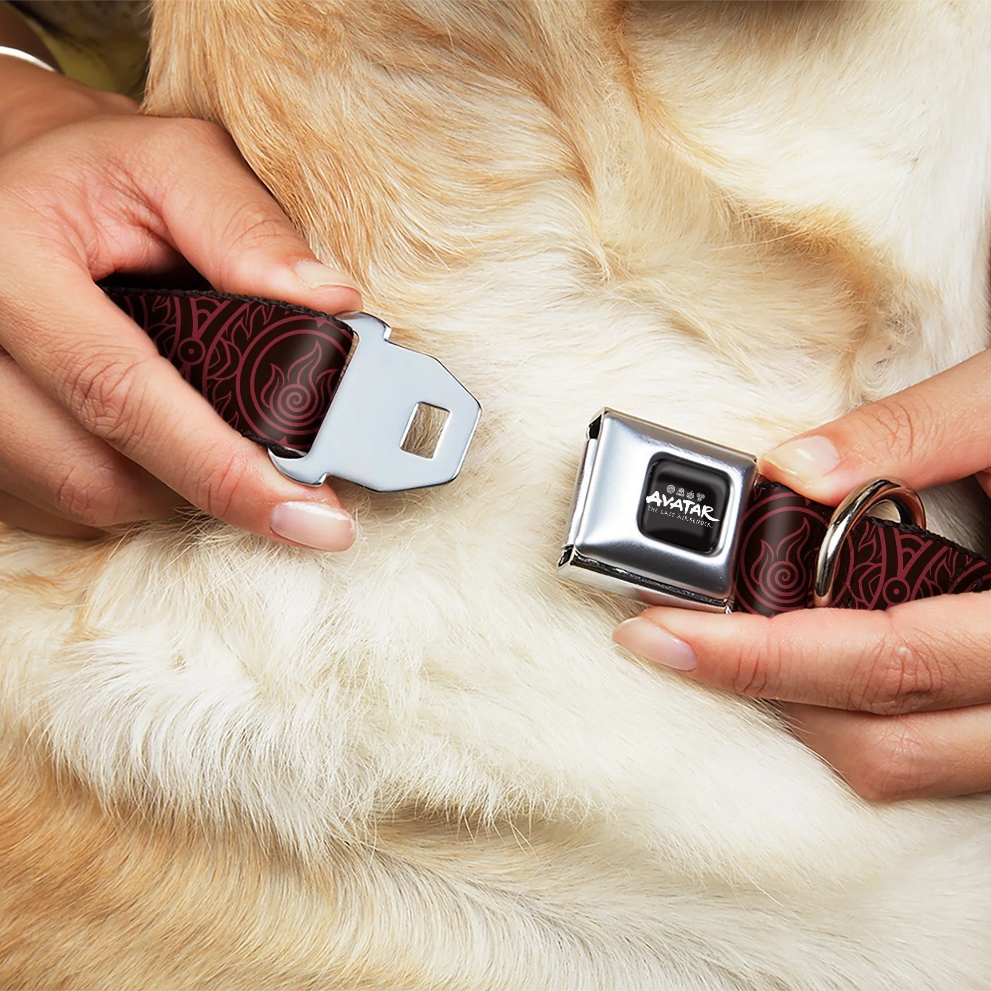 Avatar: Last Airbender Fire Element Seatbelt Buckle Dog Collar - Image 8