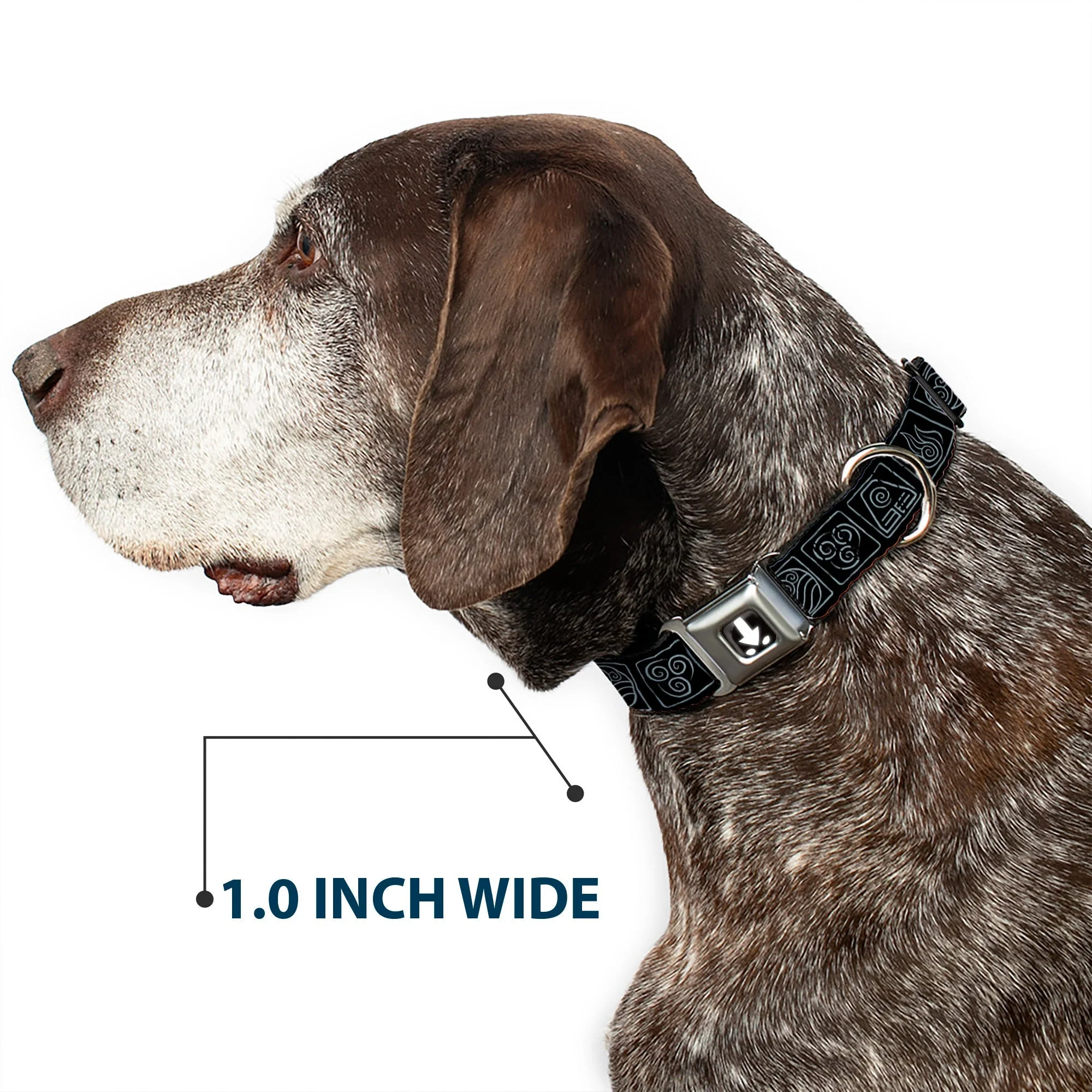 Avatar: The Last Airbender Aang Elements Seatbelt Dog Collar - Image 6
