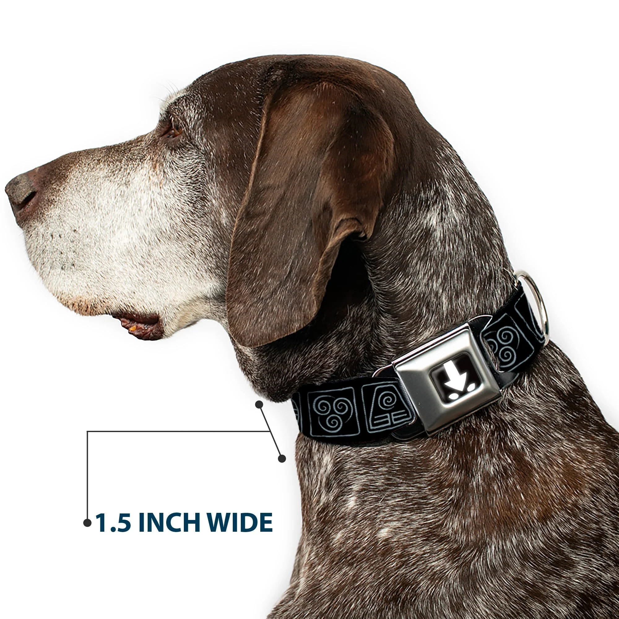 Avatar: The Last Airbender Aang Elements Seatbelt Dog Collar - Image 7