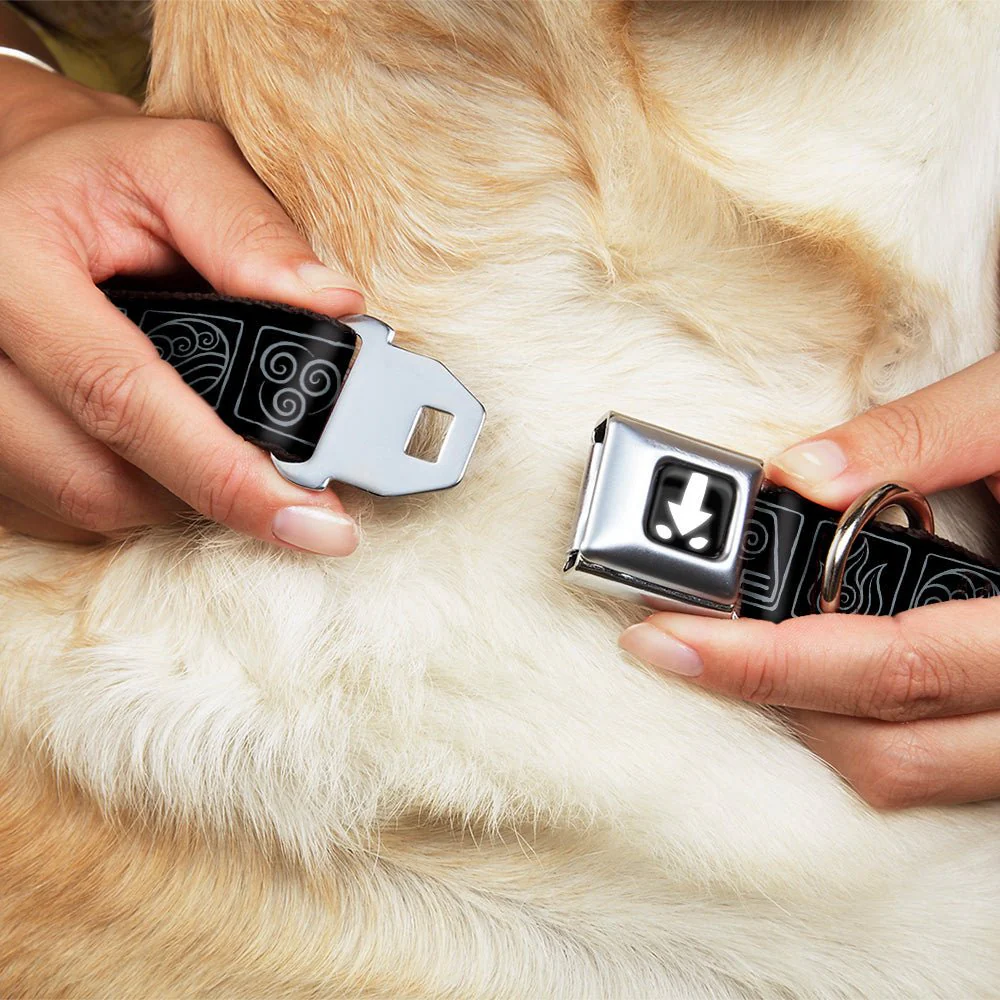 Avatar: The Last Airbender Aang Elements Seatbelt Dog Collar - Image 8
