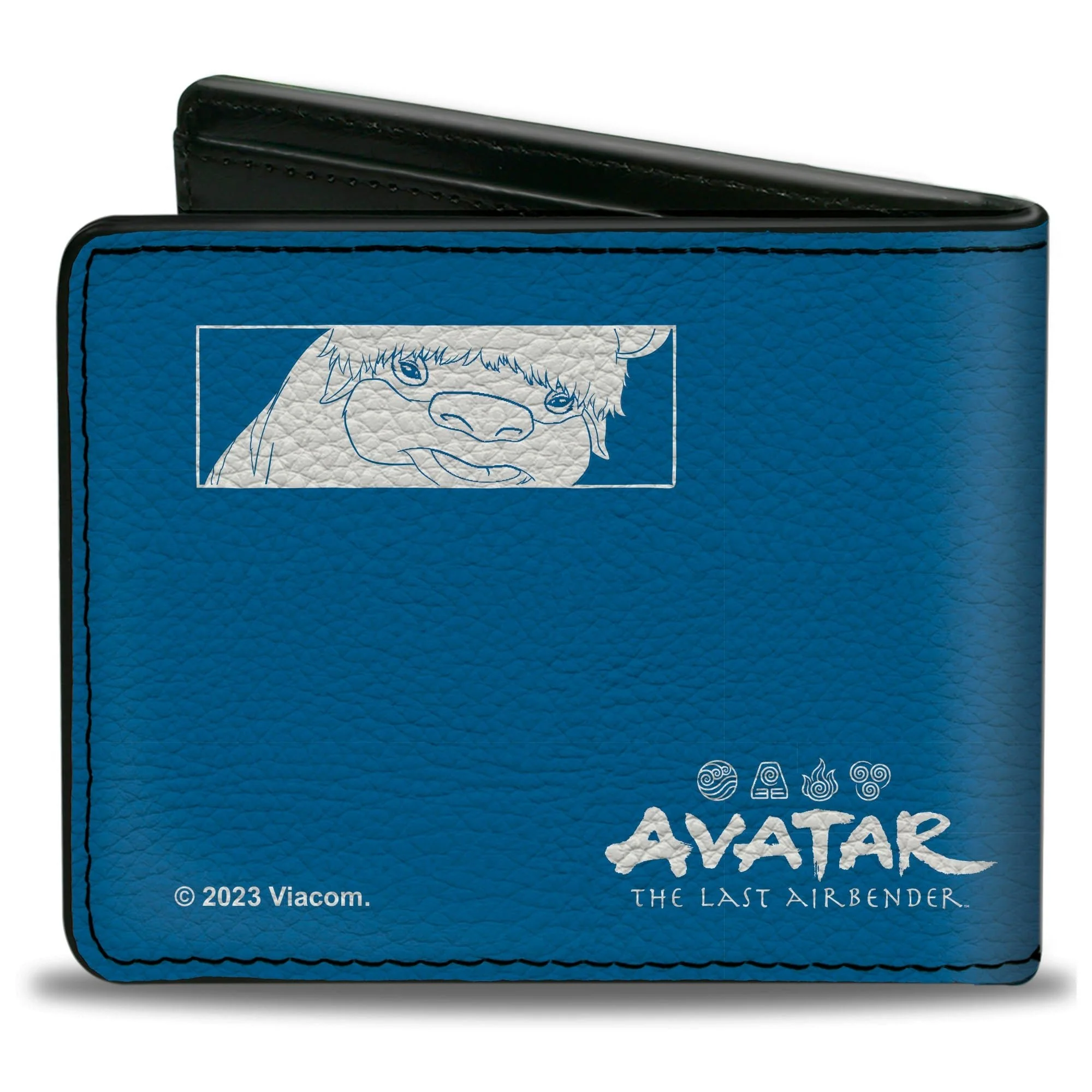 Avatar: The Last Airbender Aang Character Bi-Fold Wallet - Image 2