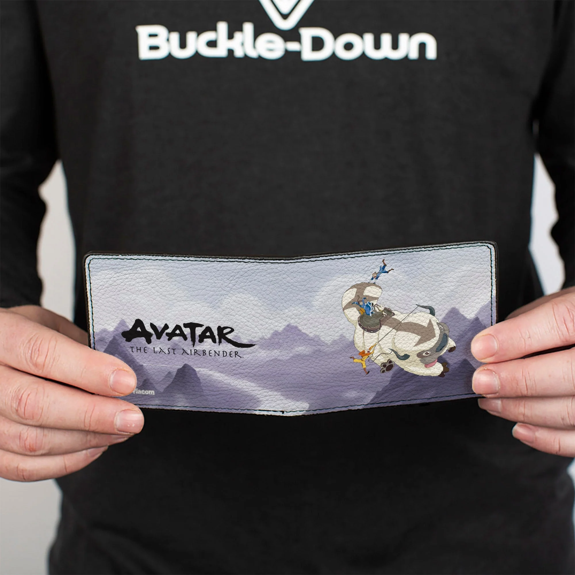 Avatar: The Last Airbender Appa & Gaang Bi-Fold Wallet - Image 4