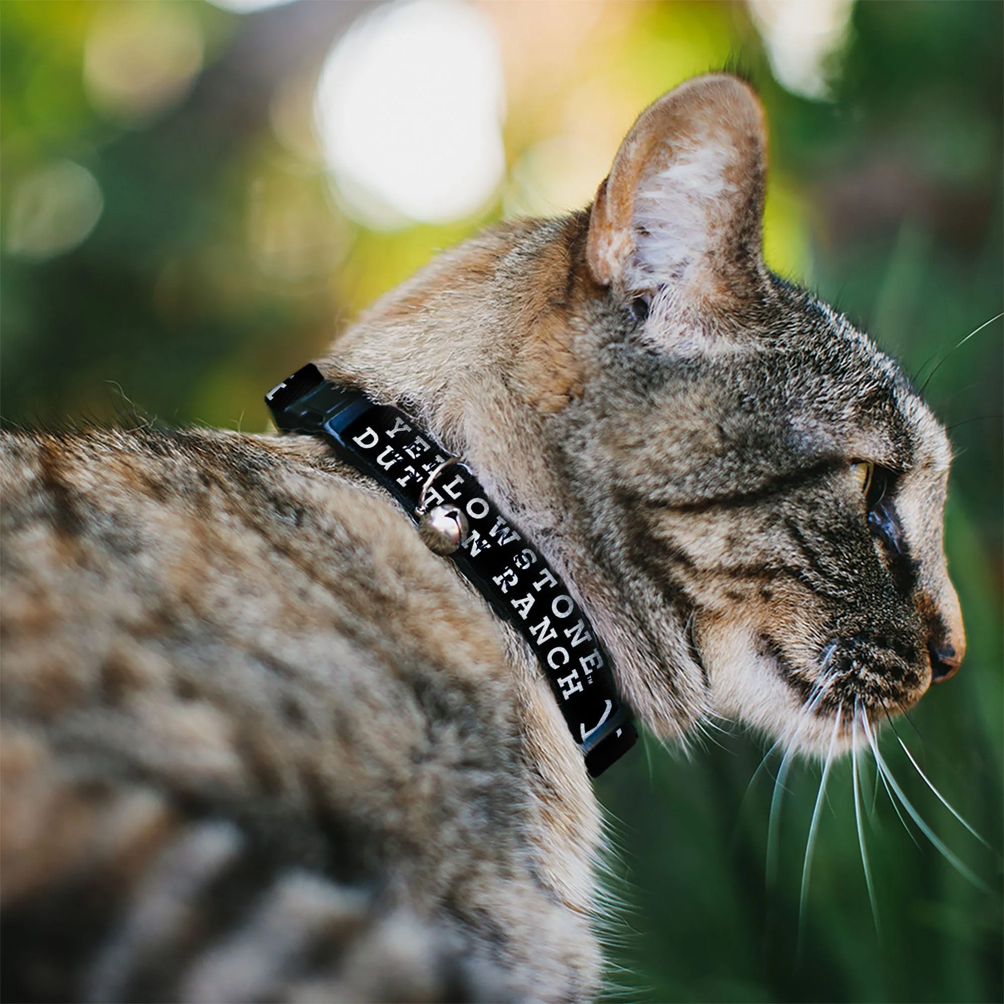 Yellowstone Dutton Ranch Logo Breakaway Cat Collar with Bell - Image 2