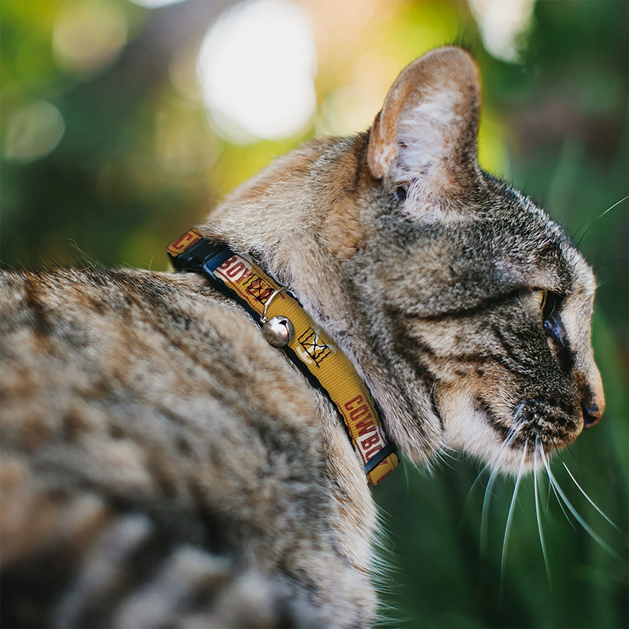 Yellowstone Y Logo Cowboy Up Breakaway Bell Cat Collar - Image 2