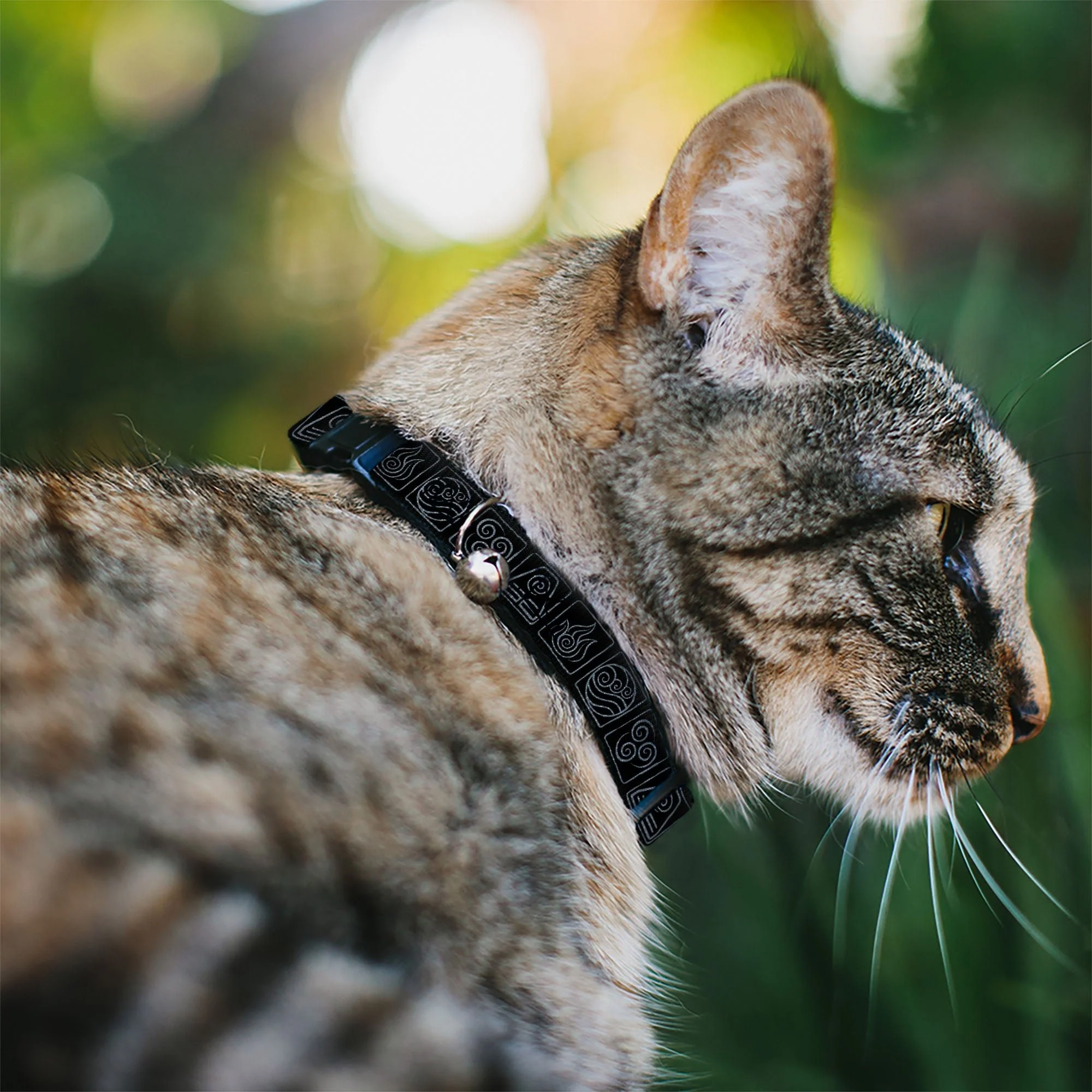 Avatar: The Last Airbender Bending Elements Cat Collar - Image 2