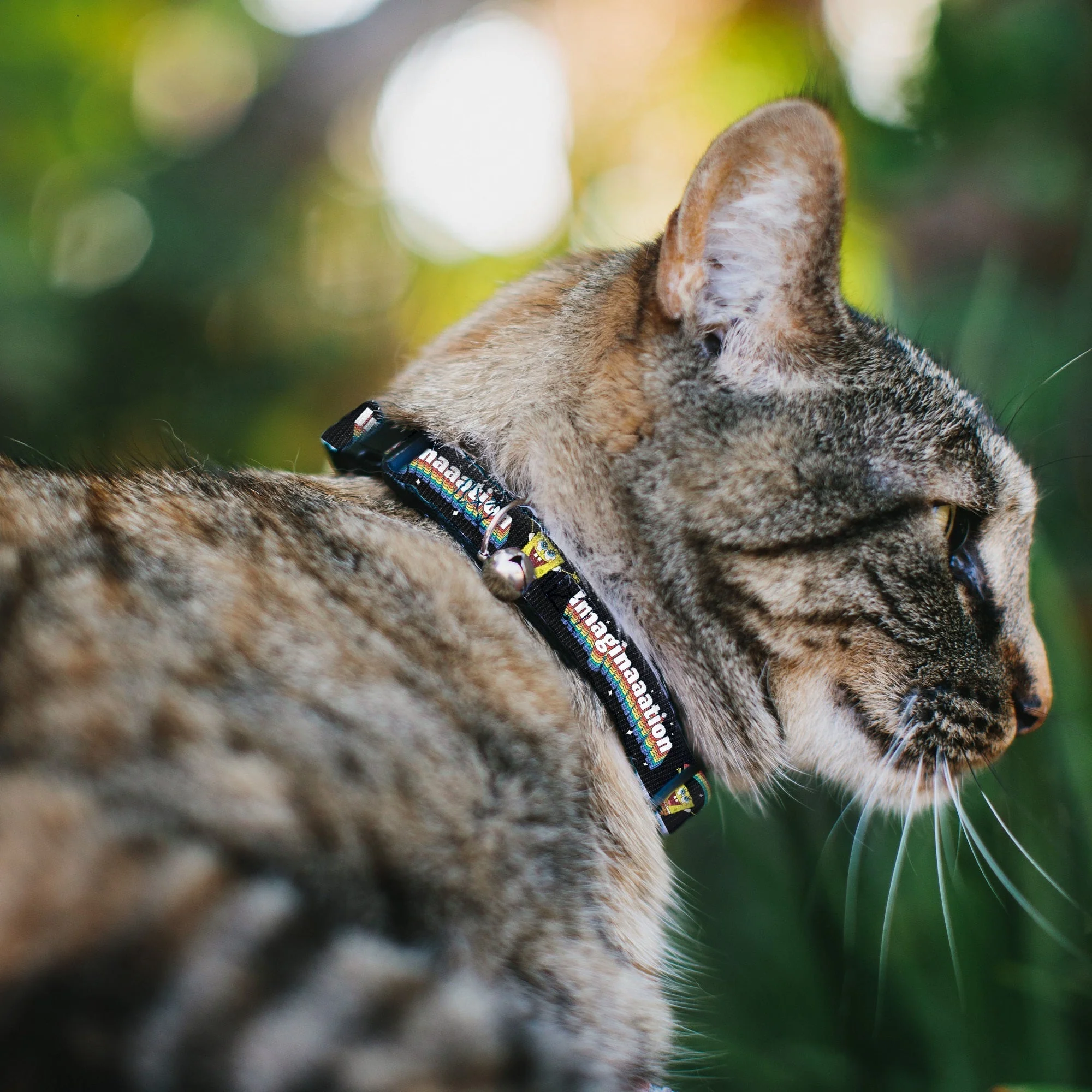 SpongeBob SquarePants Cat Collar Arms Up Rainbow Pose IMAGINAAATION Breakaway with Bell Black Multi Color - Image 2