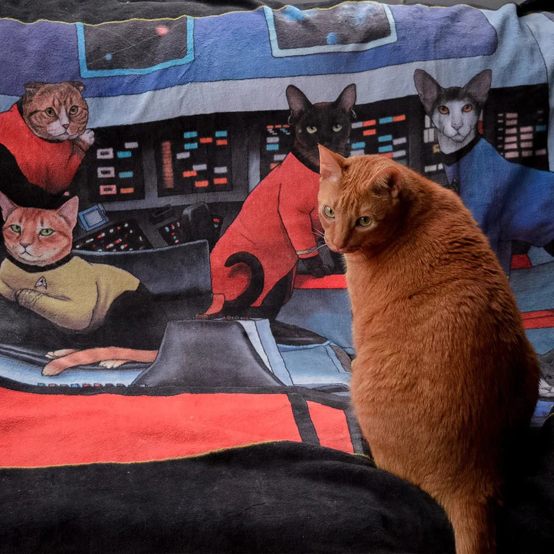 Star Trek: The Original Series Crew Cats Black Sherpa Blanket - Image 5