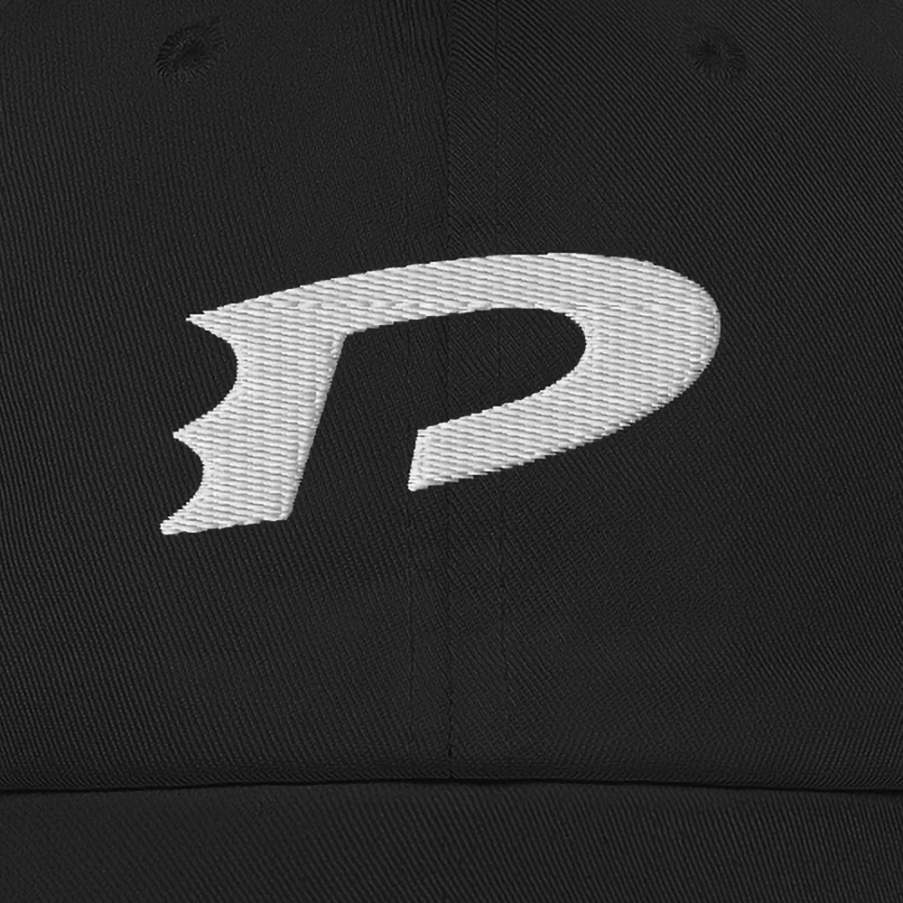 Danny Phantom Logo Classic Dad Hat - Image 2