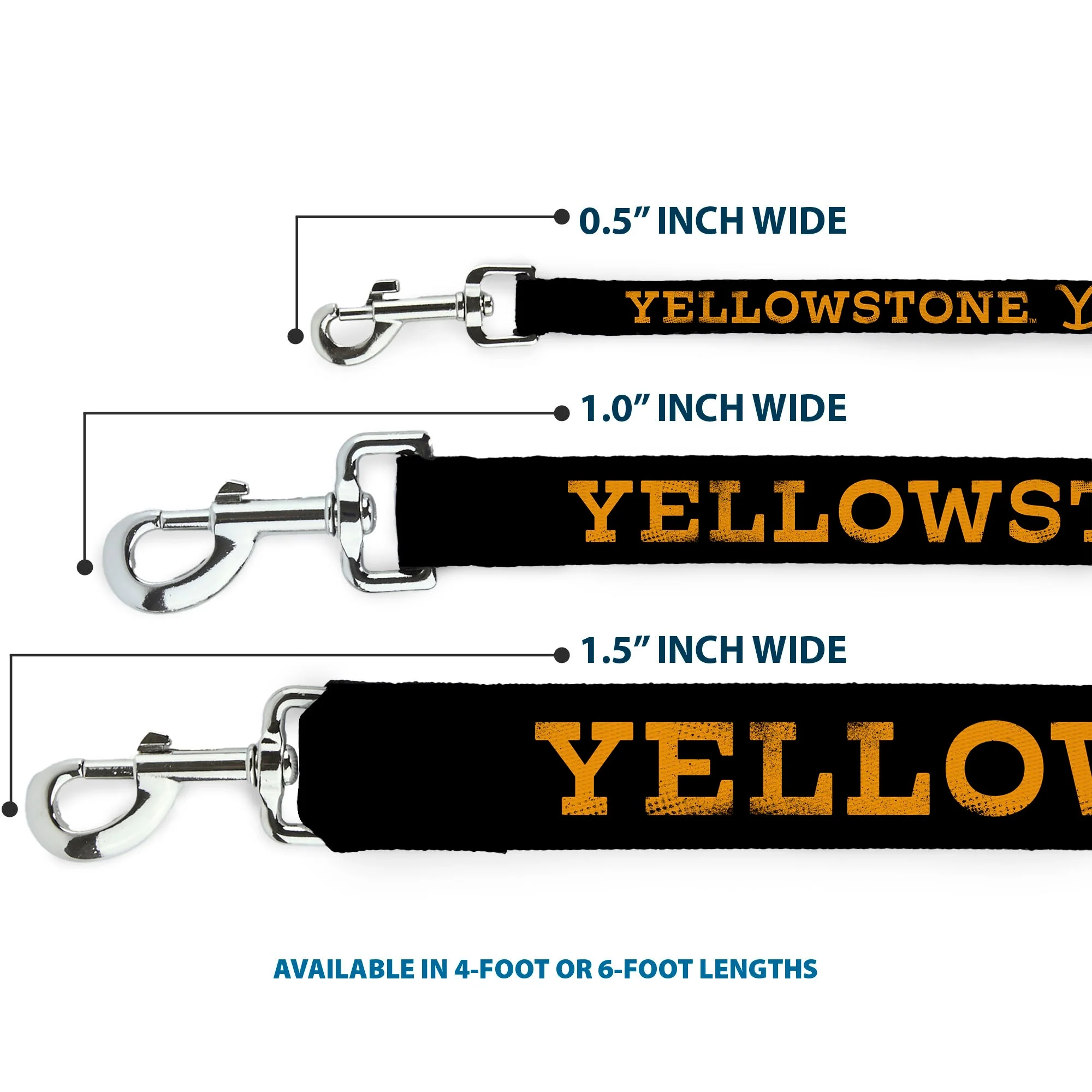 Yellowstone Weathered Text and Y Logo Pet Leash - Image 3