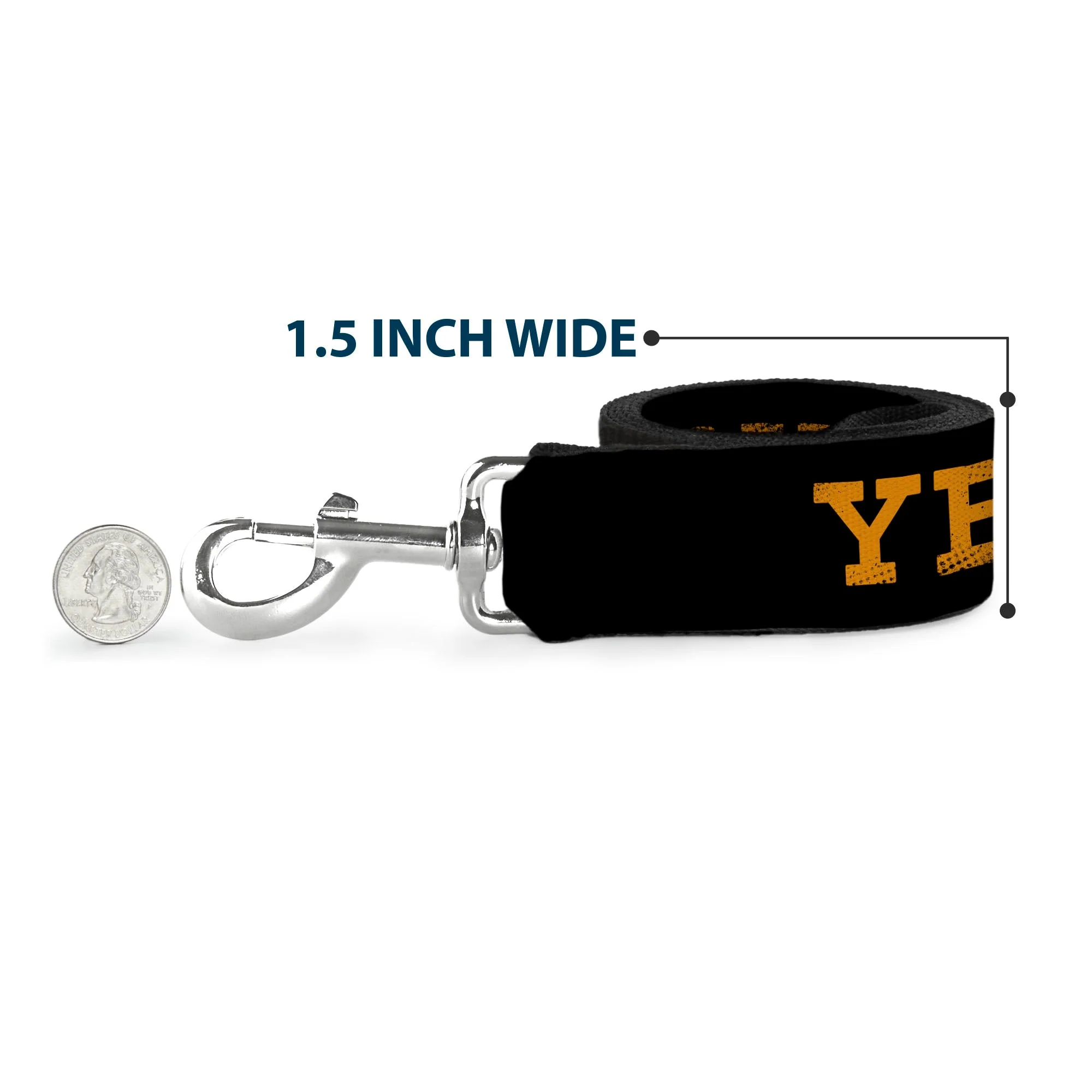 Yellowstone Weathered Text and Y Logo Pet Leash - Image 6