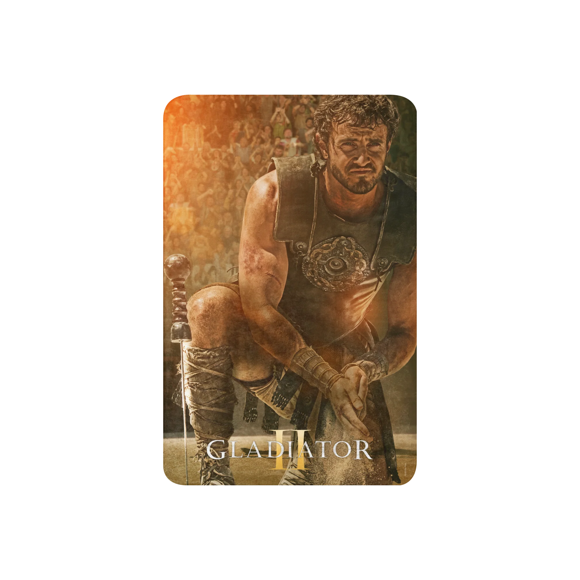 Gladiator II Lucius Sherpa Blanket - Image 3