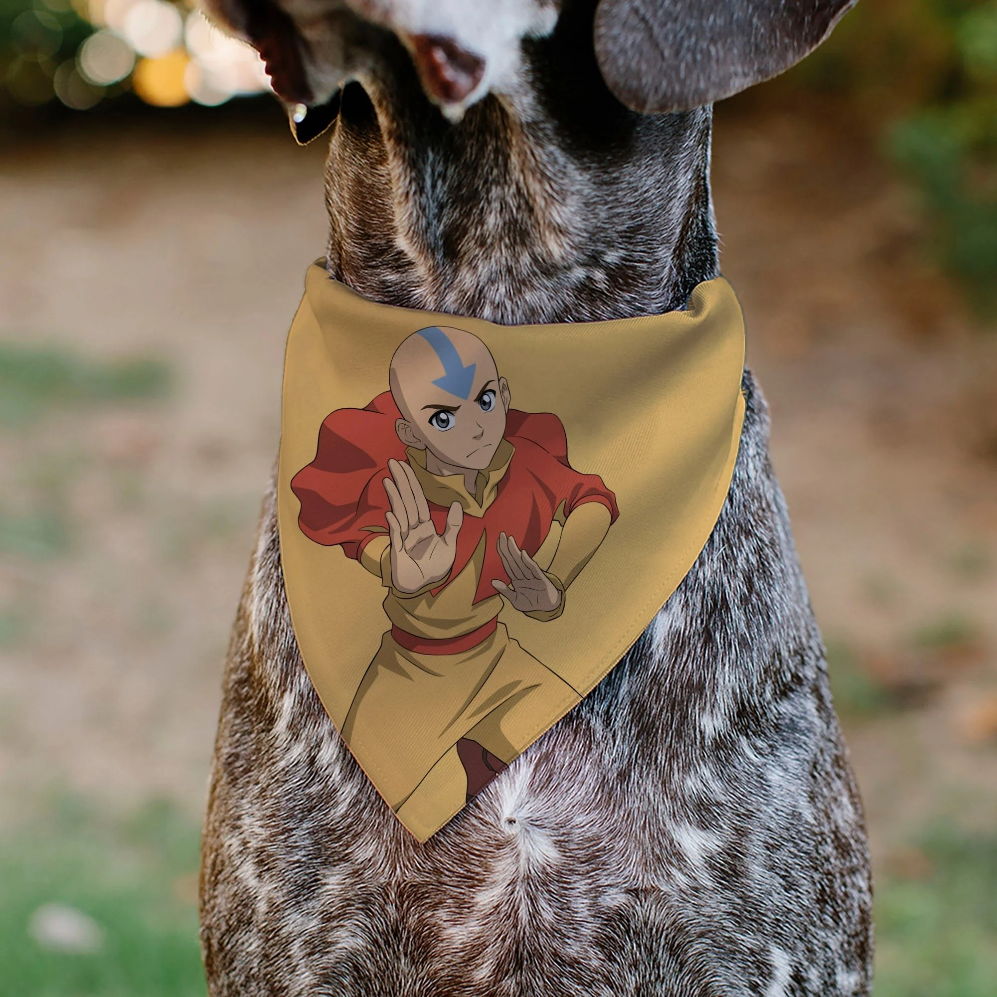 Avatar The Last Airbender Action Pose Yellow Pet Bandana - Image 4