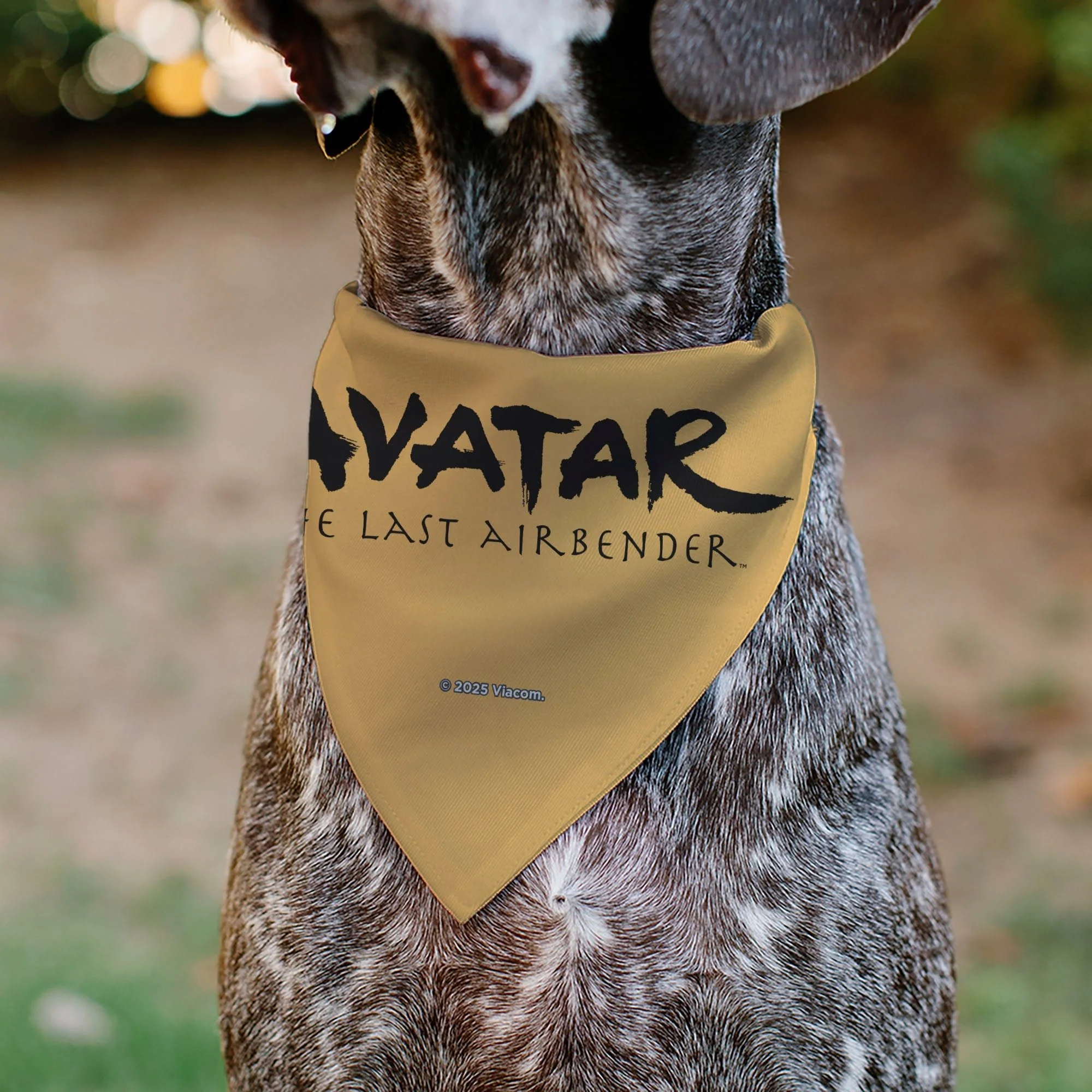 Avatar The Last Airbender Action Pose Yellow Pet Bandana - Image 5