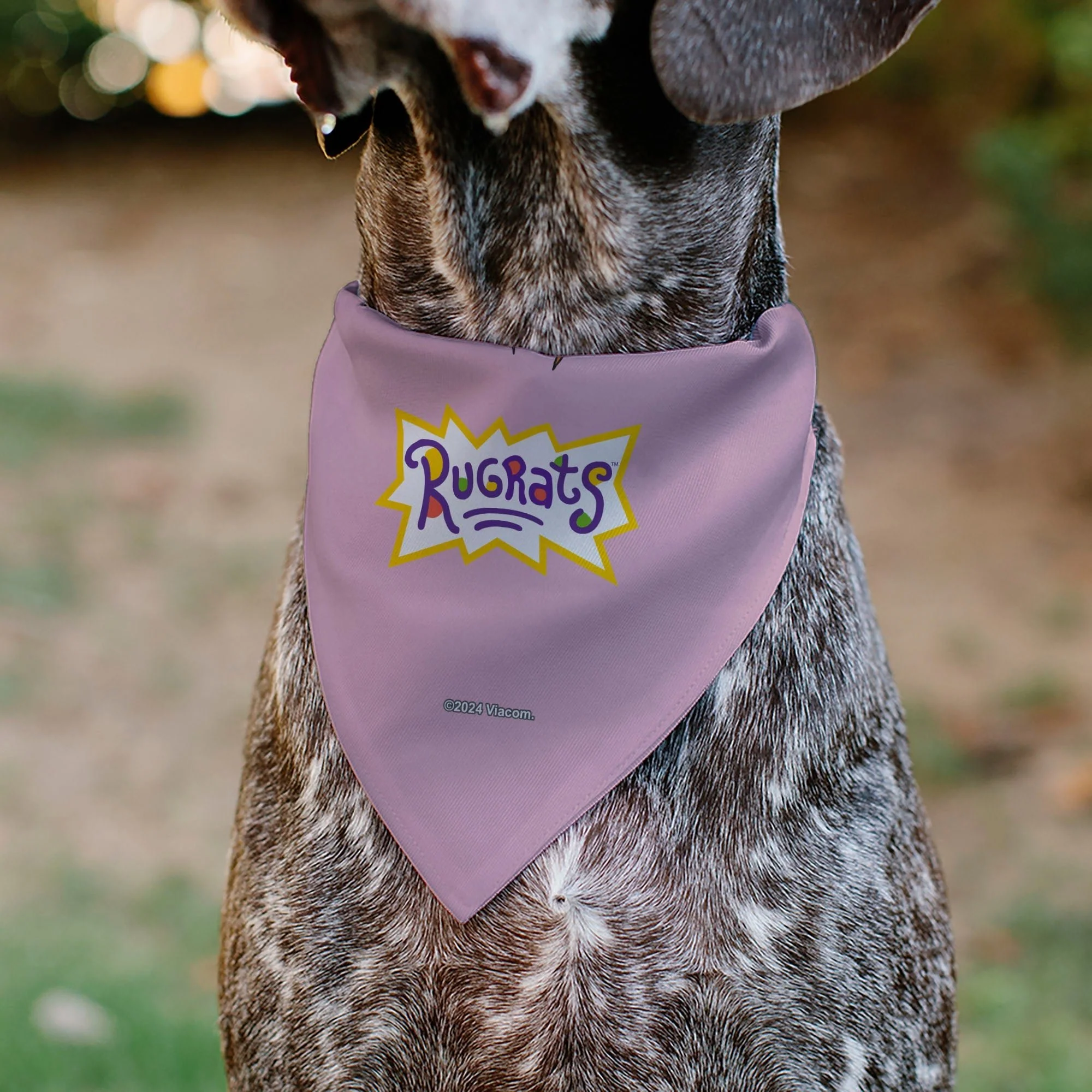 Rugrats Chuckie HUG ME Hearts Pose Pink Pet Bandana - Image 5