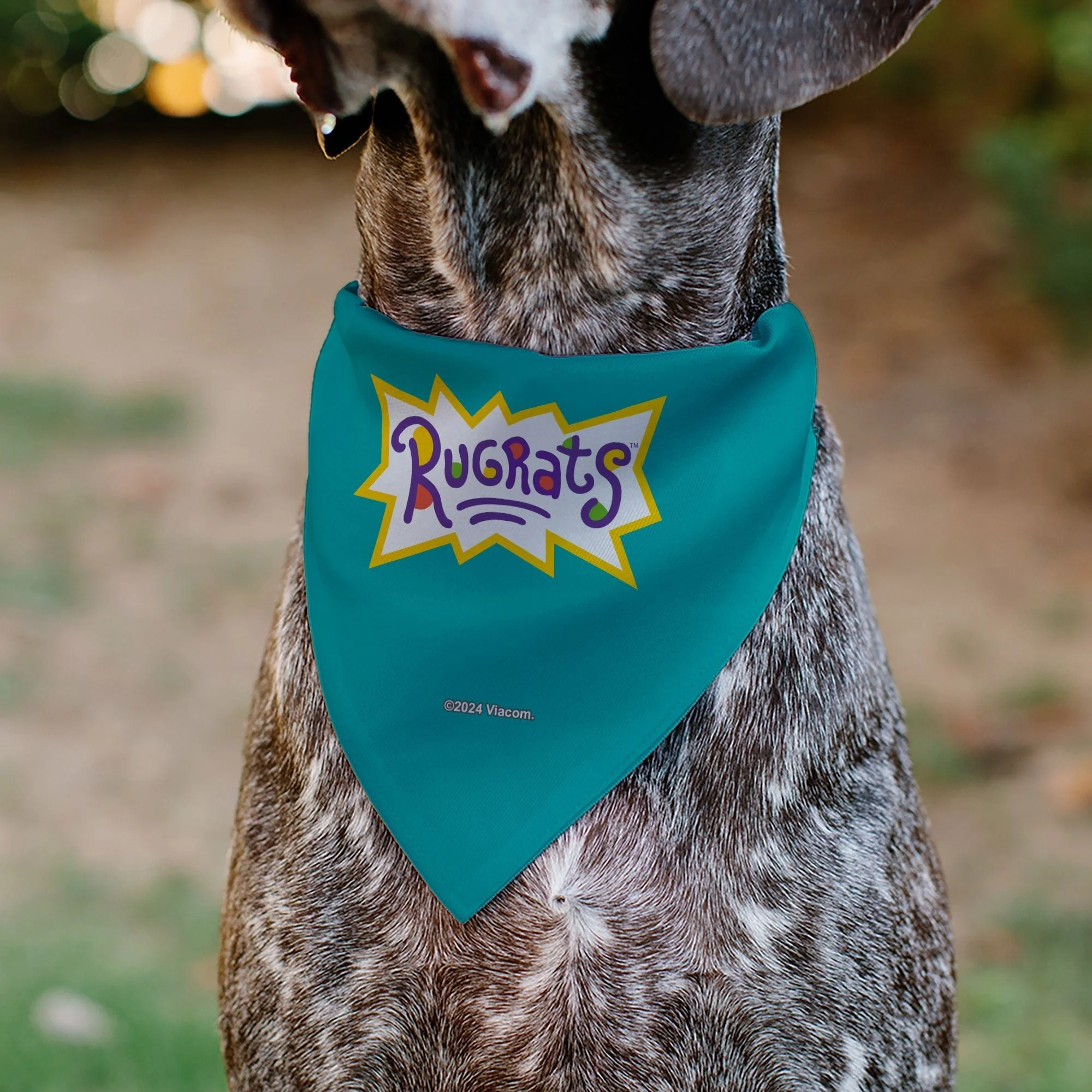 Rugrats Kids Group Pose and Title Logo Pet Bandana - Image 5