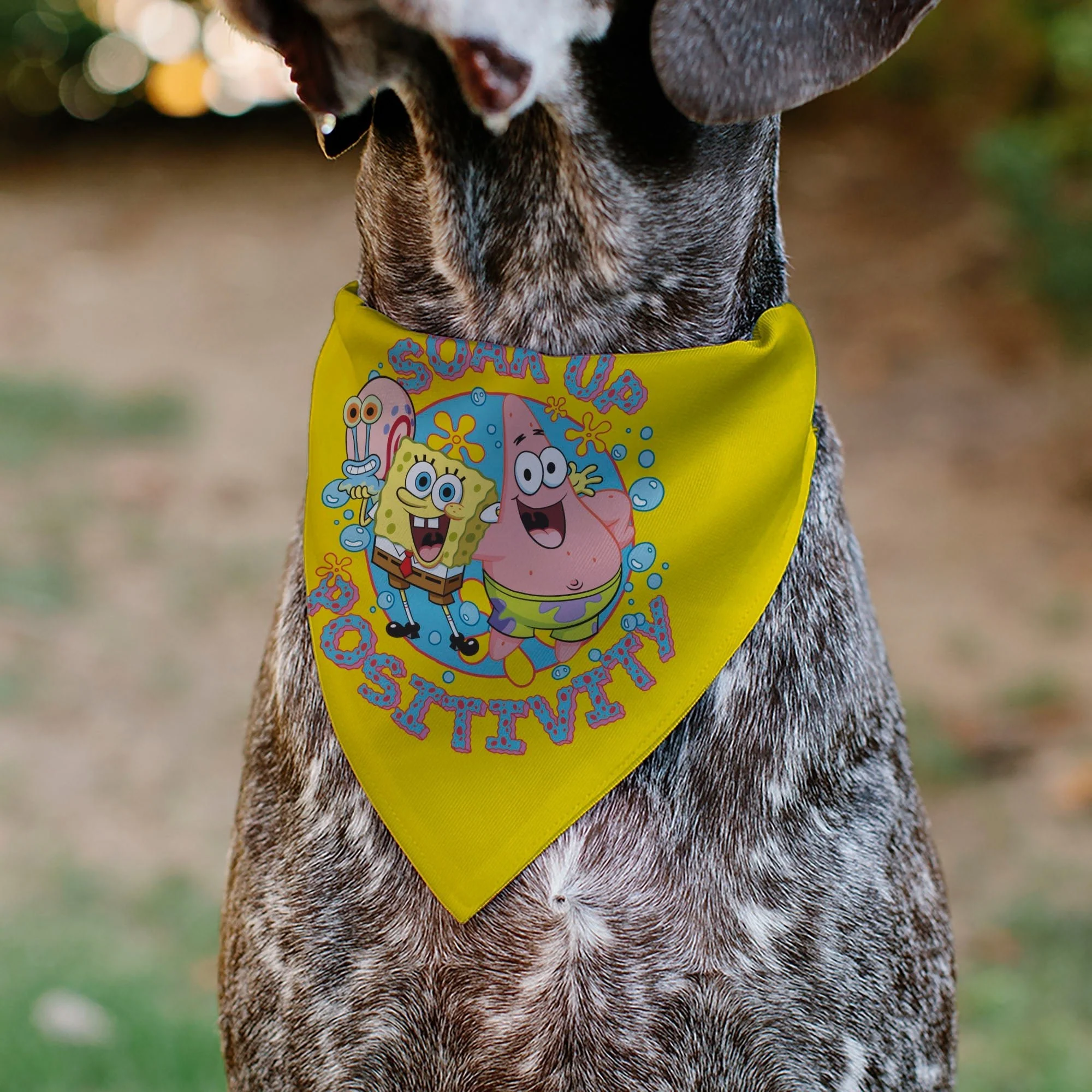 SpongeBob SquarePants Pet Bandana Friends SOAK UP POSITIVITY Pose Over the Collar Double-Sided Yellow - Image 4