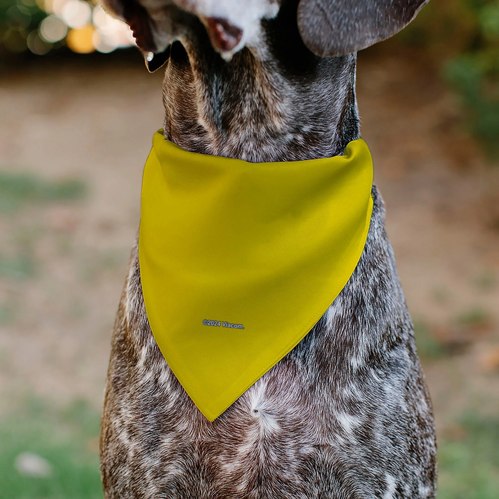 SpongeBob SquarePants Pet Bandana Friends SOAK UP POSITIVITY Pose Over the Collar Double-Sided Yellow - Image 5