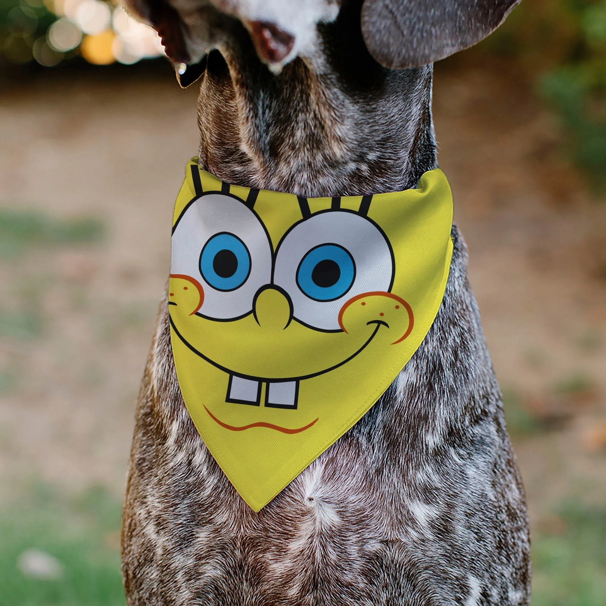 SpongeBob SquarePants Pet Bandana Face Close-Up Over-the-Collar Double-Sided Yellow - Image 4
