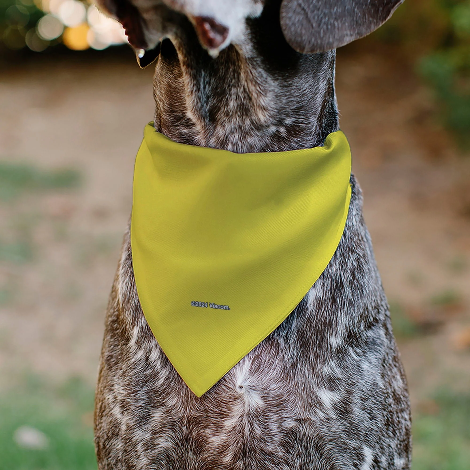 SpongeBob SquarePants Pet Bandana Face Close-Up Over-the-Collar Double-Sided Yellow - Image 5
