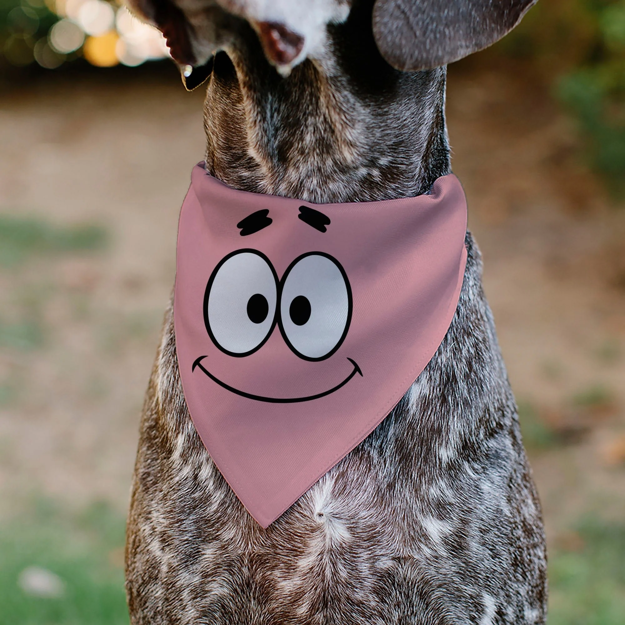 SpongeBob SquarePants Pet Bandana Patrick Star Close-Up Collar Slip Double-Sided Print Pink - Image 4