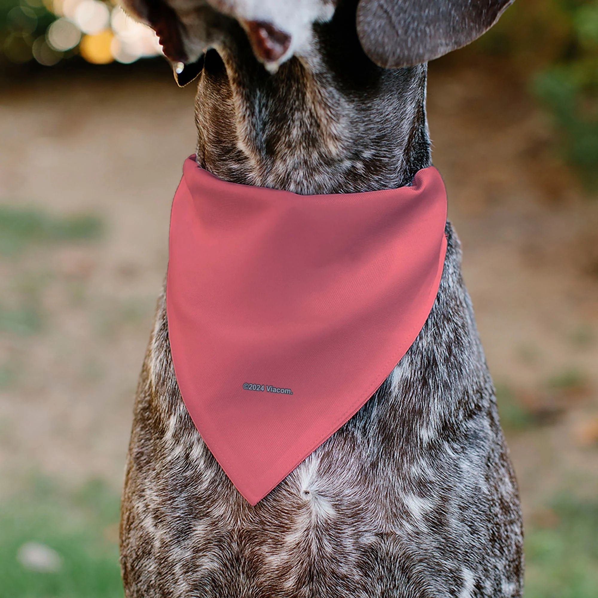 SpongeBob SquarePants Pet Bandana Patrick Star Face Close-Up Pink - Image 5
