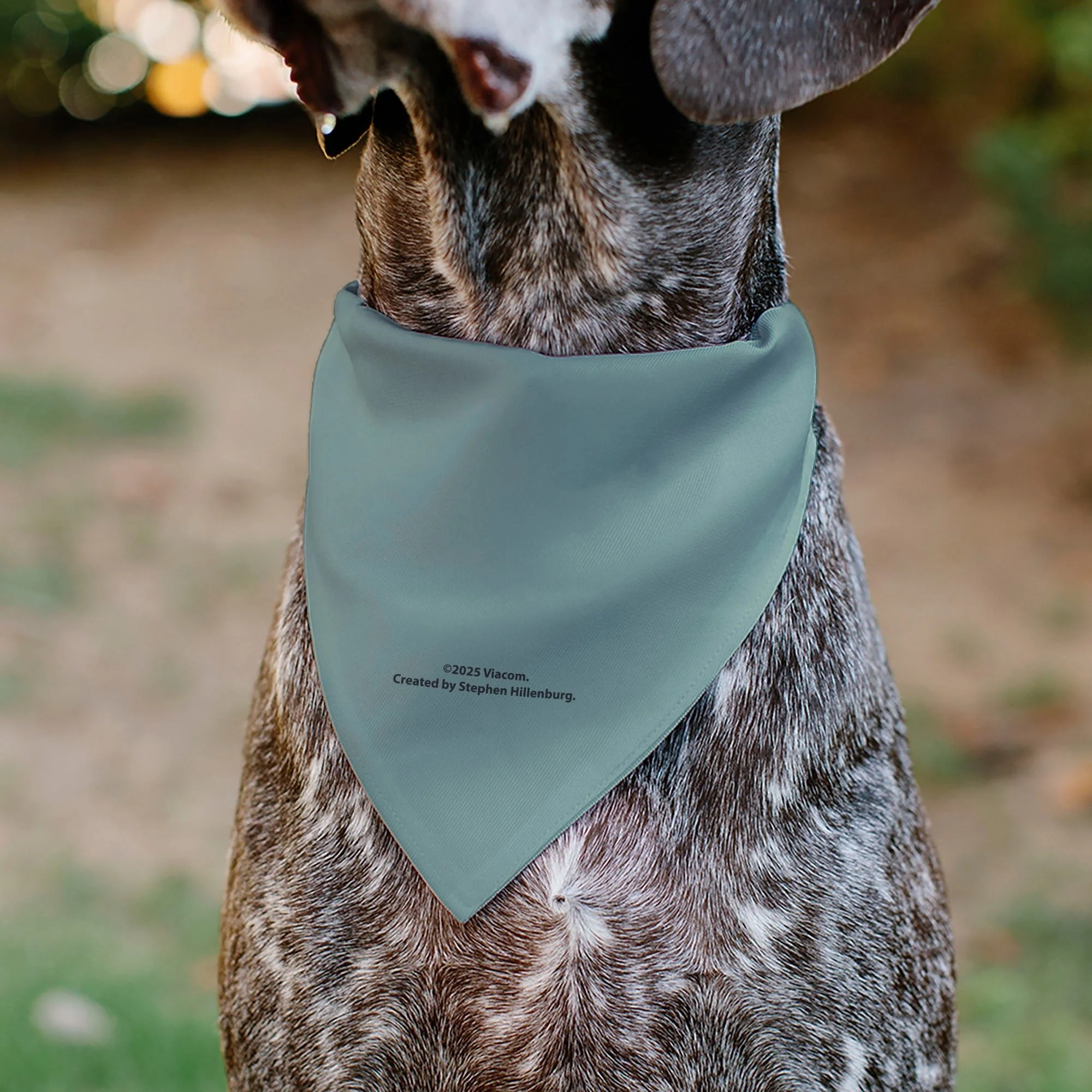SpongeBob SquarePants Pet Bandana Squidward Close-Up Over the Collar Blue - Image 5