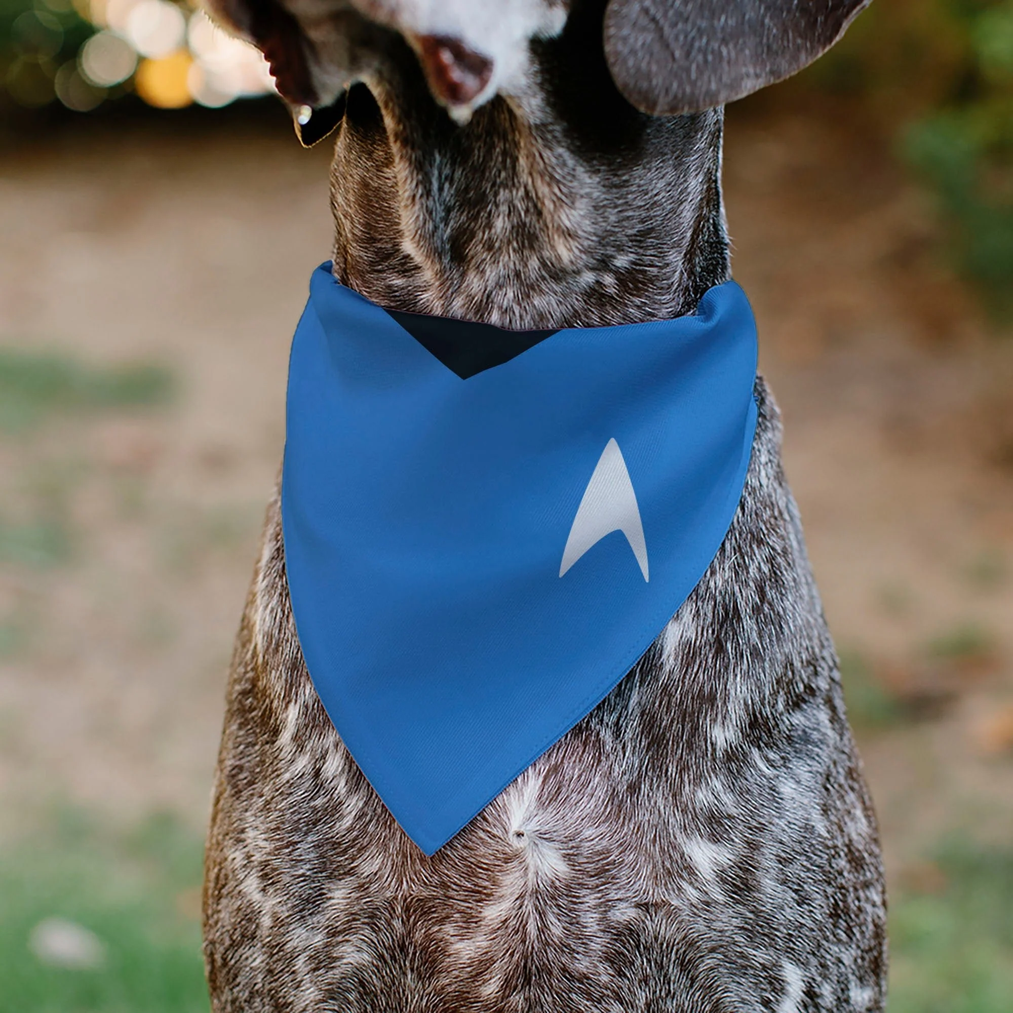 Star Trek TOS Blue Starfleet Uniform Over-Collar Pet Bandana - Image 4