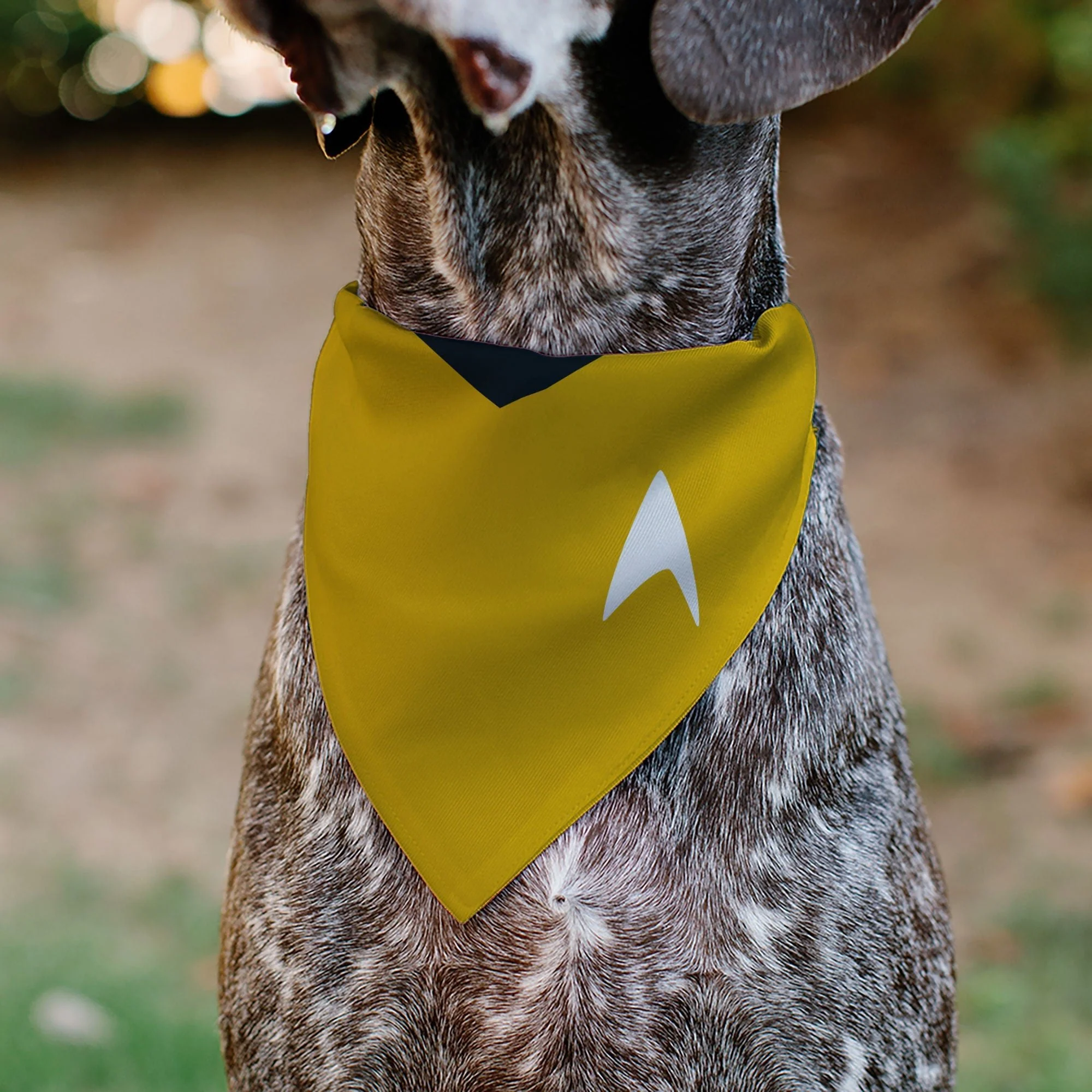 Star Trek Original Series Gold Command Uniform Pet Bandana - Image 4