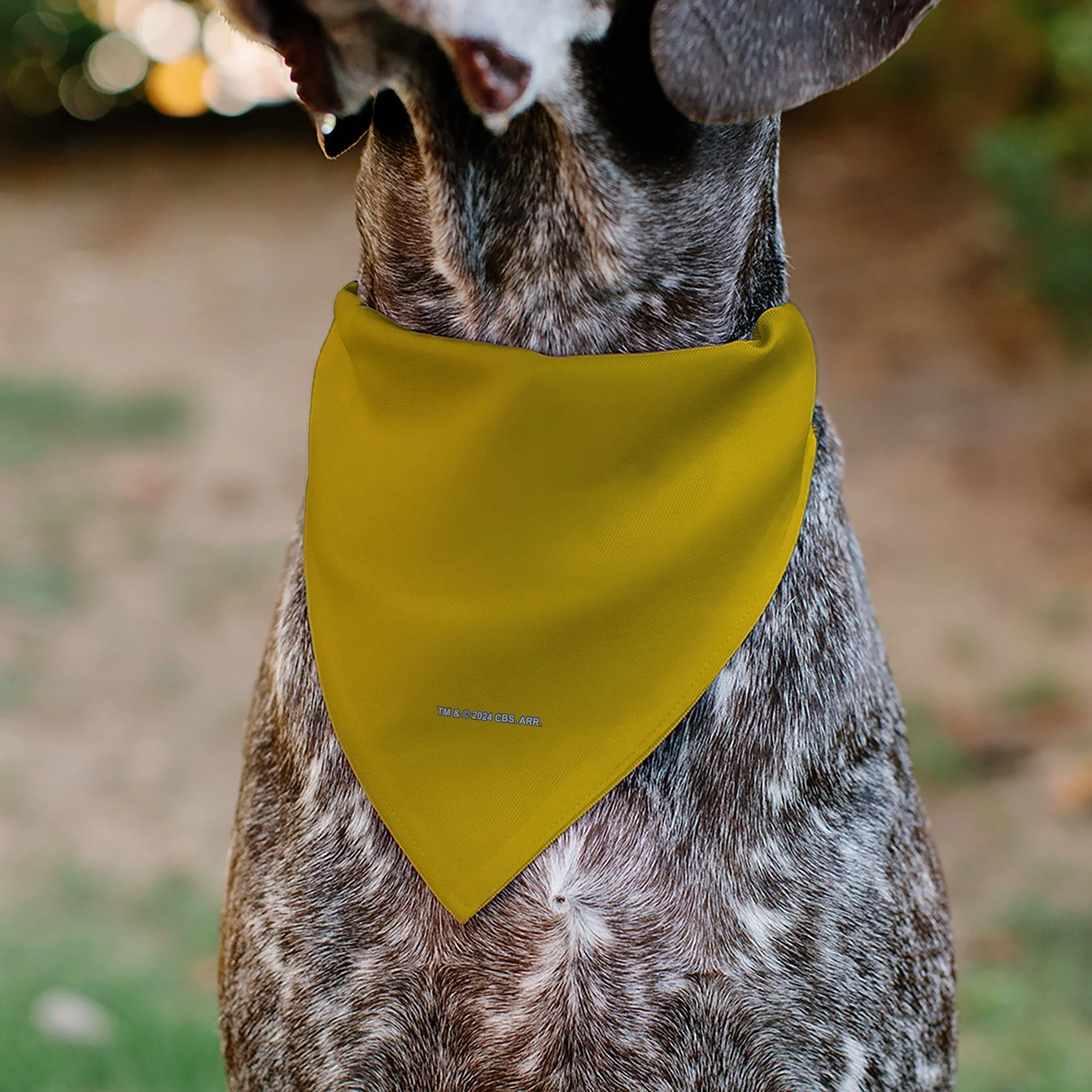 Star Trek Original Series Gold Command Uniform Pet Bandana - Image 5