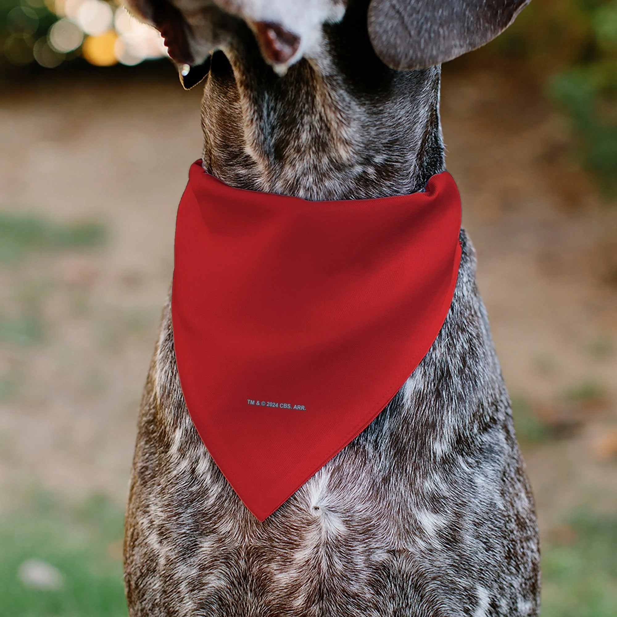 Star Trek Original Series Red Uniform Engineering Pet Bandana - Image 5