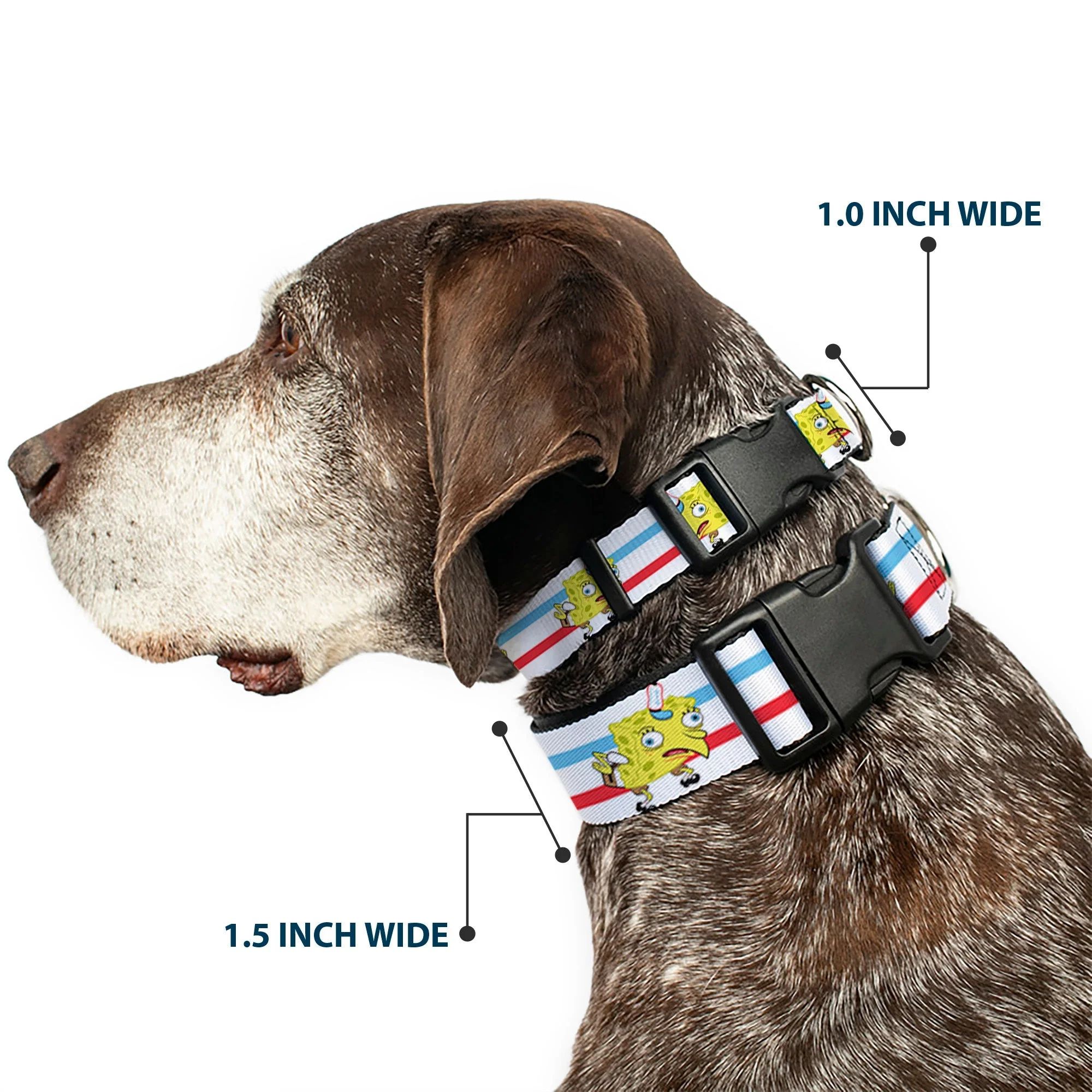 SpongeBob SquarePants Dog Collar Mocking Pose Stripe White/Blue/Red Plastic Clip - Image 2