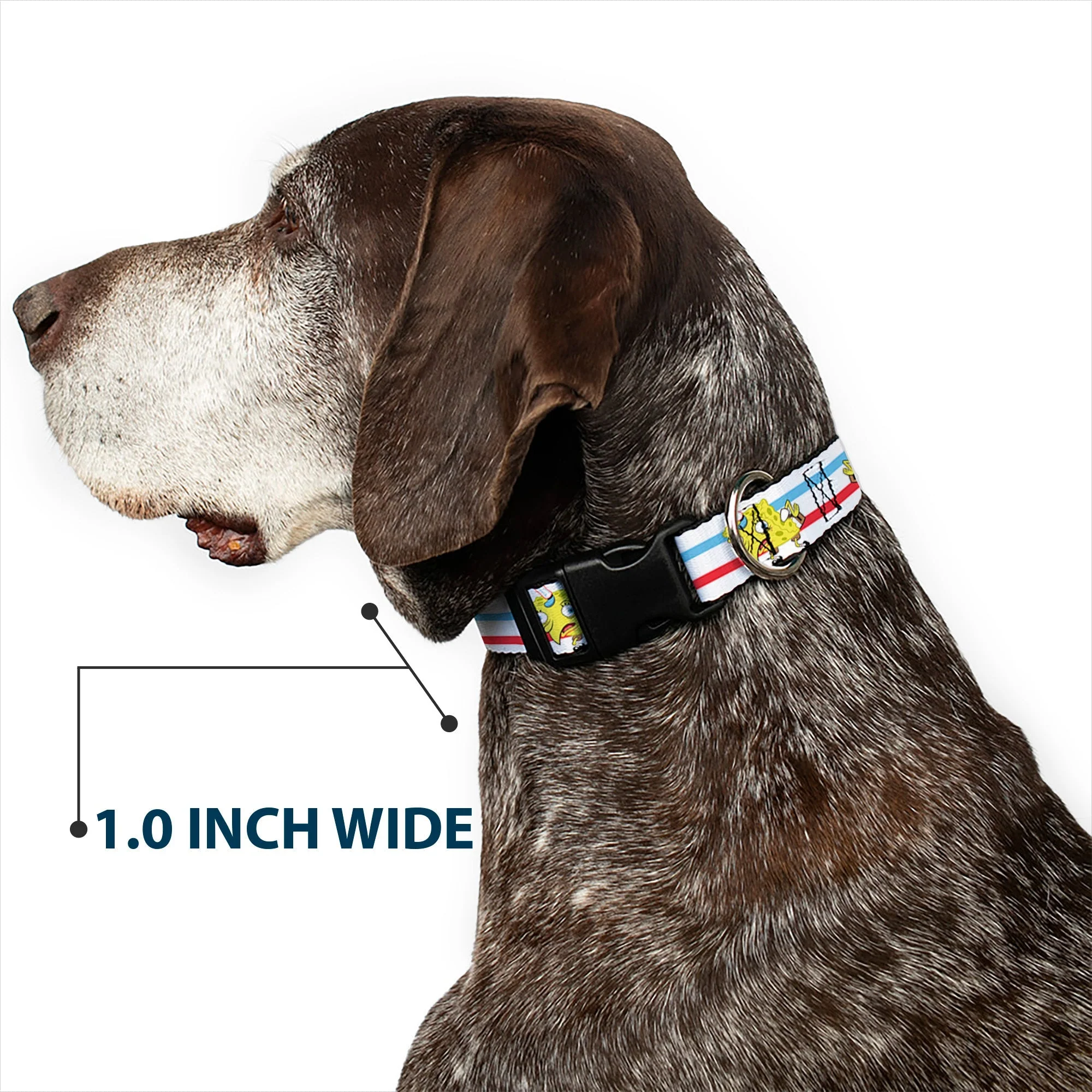 SpongeBob SquarePants Dog Collar Mocking Pose Stripe White/Blue/Red Plastic Clip - Image 6