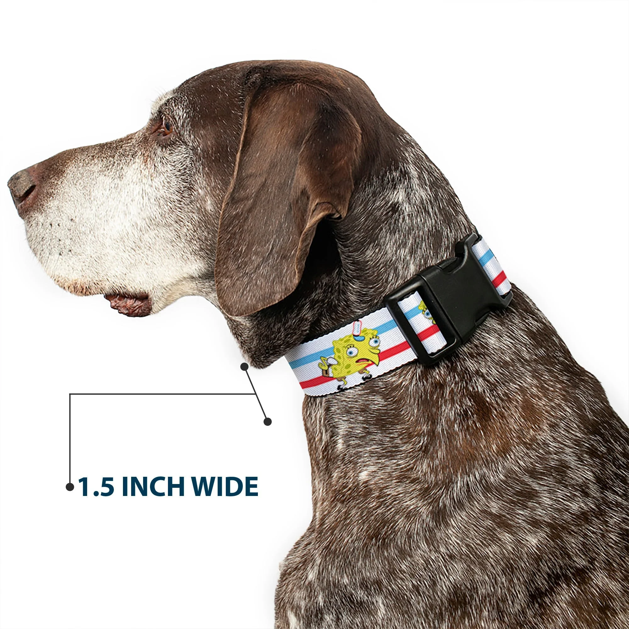 SpongeBob SquarePants Dog Collar Mocking Pose Stripe White/Blue/Red Plastic Clip - Image 7