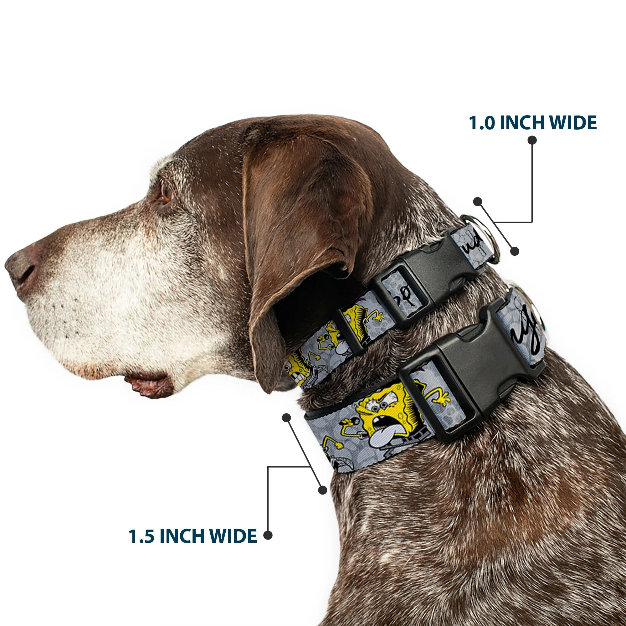 SpongeBob Dog Collar 3-Poses SPONGEITUDE Plastic Clip Adjustable Grays/Black - Image 2