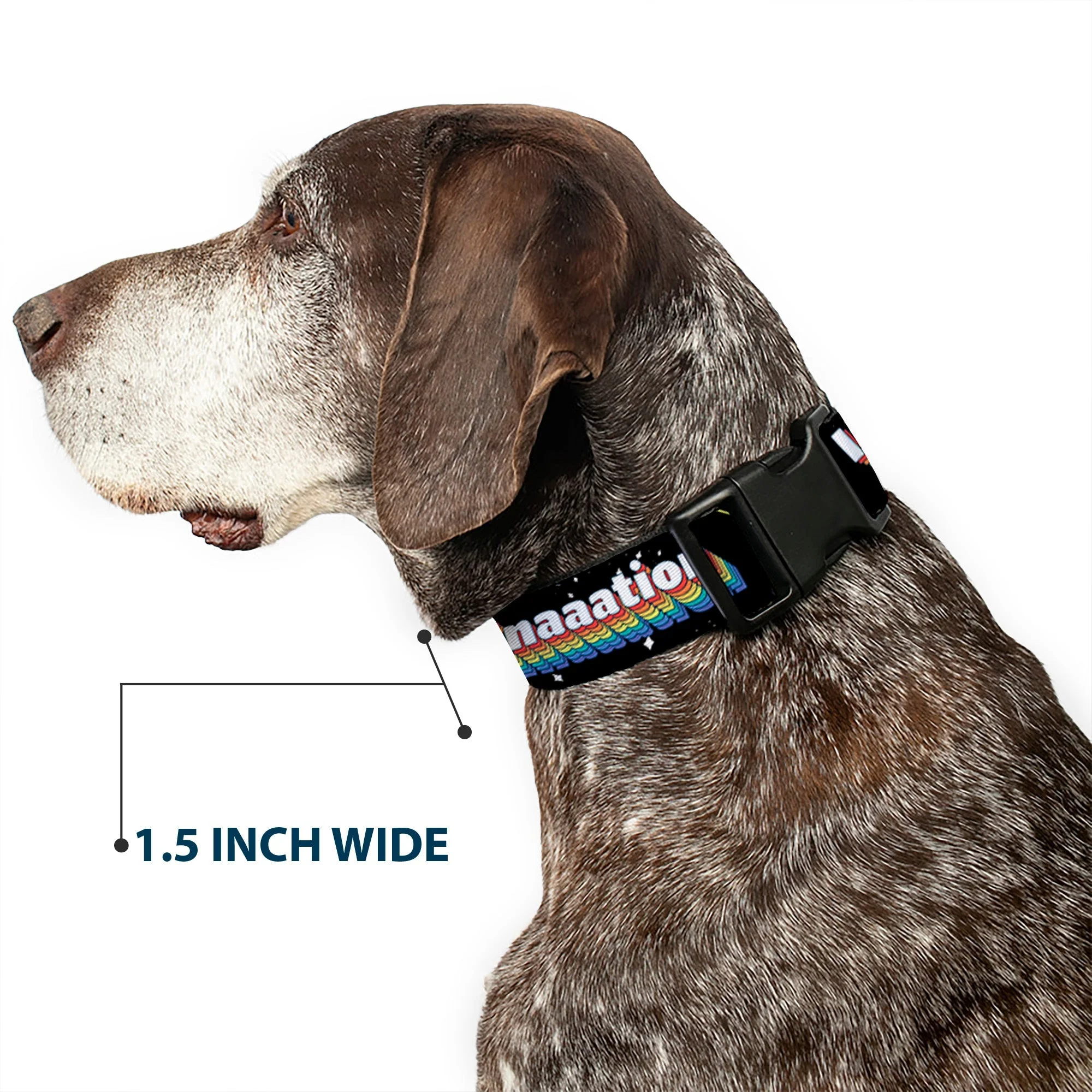 SpongeBob SquarePants Dog Collar Arms Up Rainbow Pose IMAGINAAATION Durable Polyester Black/Multi - Image 7