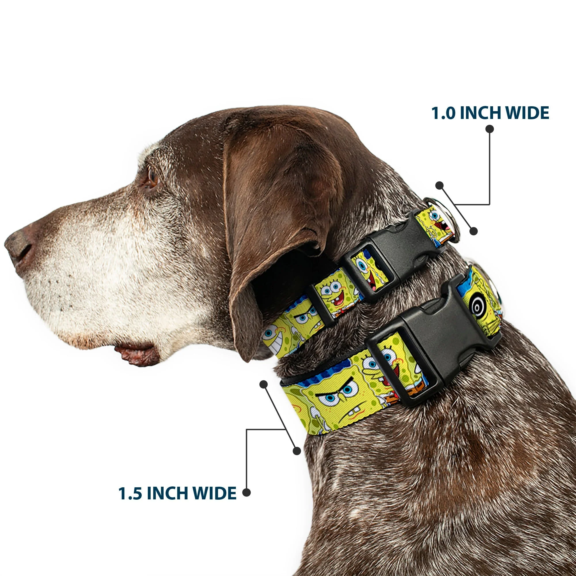 SpongeBob SquarePants Dog Collar Expressions Stripe Plastic Buckle Adjustable Blue - Image 2