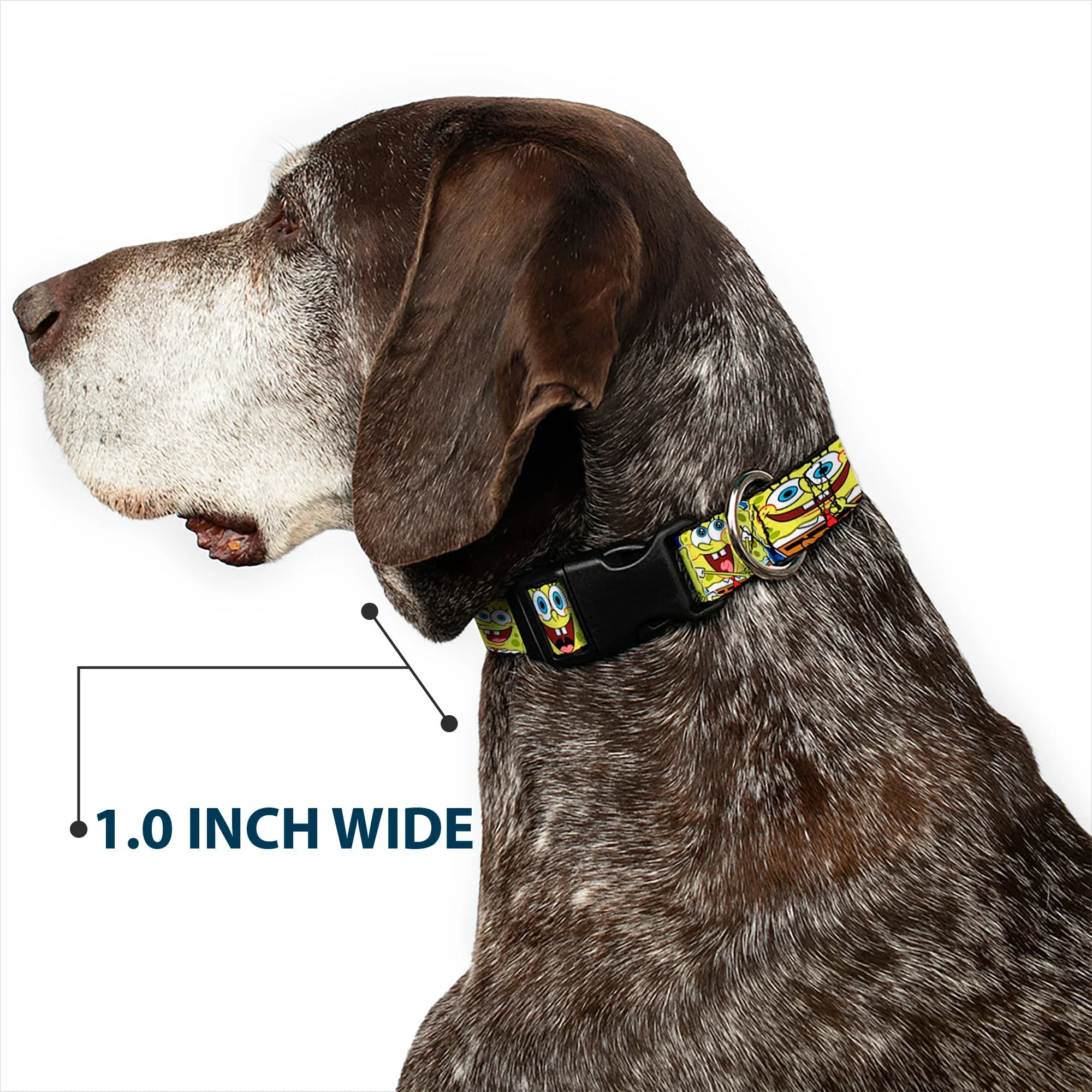 SpongeBob SquarePants Dog Collar Expressions Stripe Plastic Buckle Adjustable Blue - Image 6