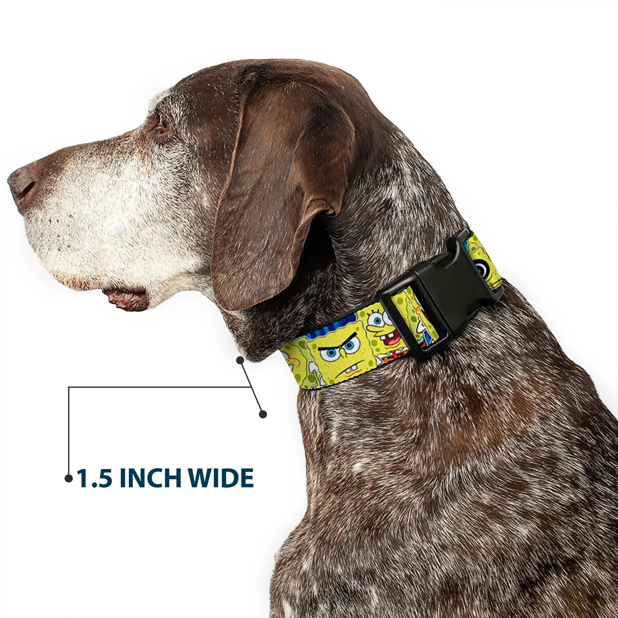 SpongeBob SquarePants Dog Collar Expressions Stripe Plastic Buckle Adjustable Blue - Image 7