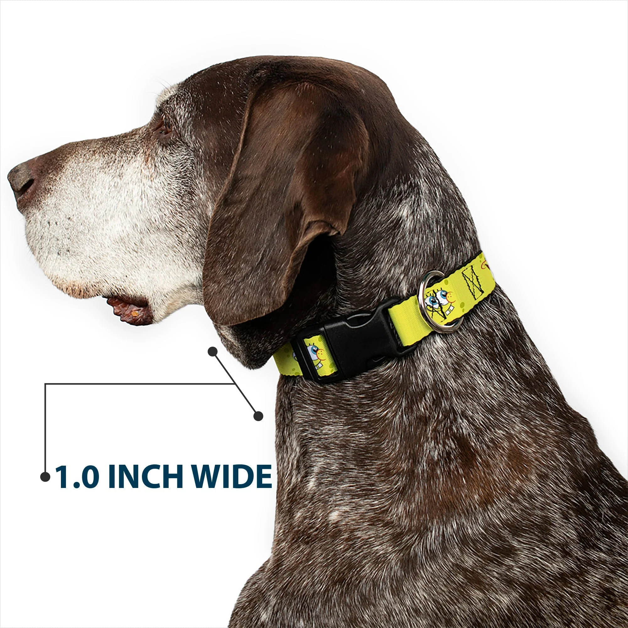 SpongeBob SquarePants Dog Collar Expressions Plastic Clip Yellow - Image 6