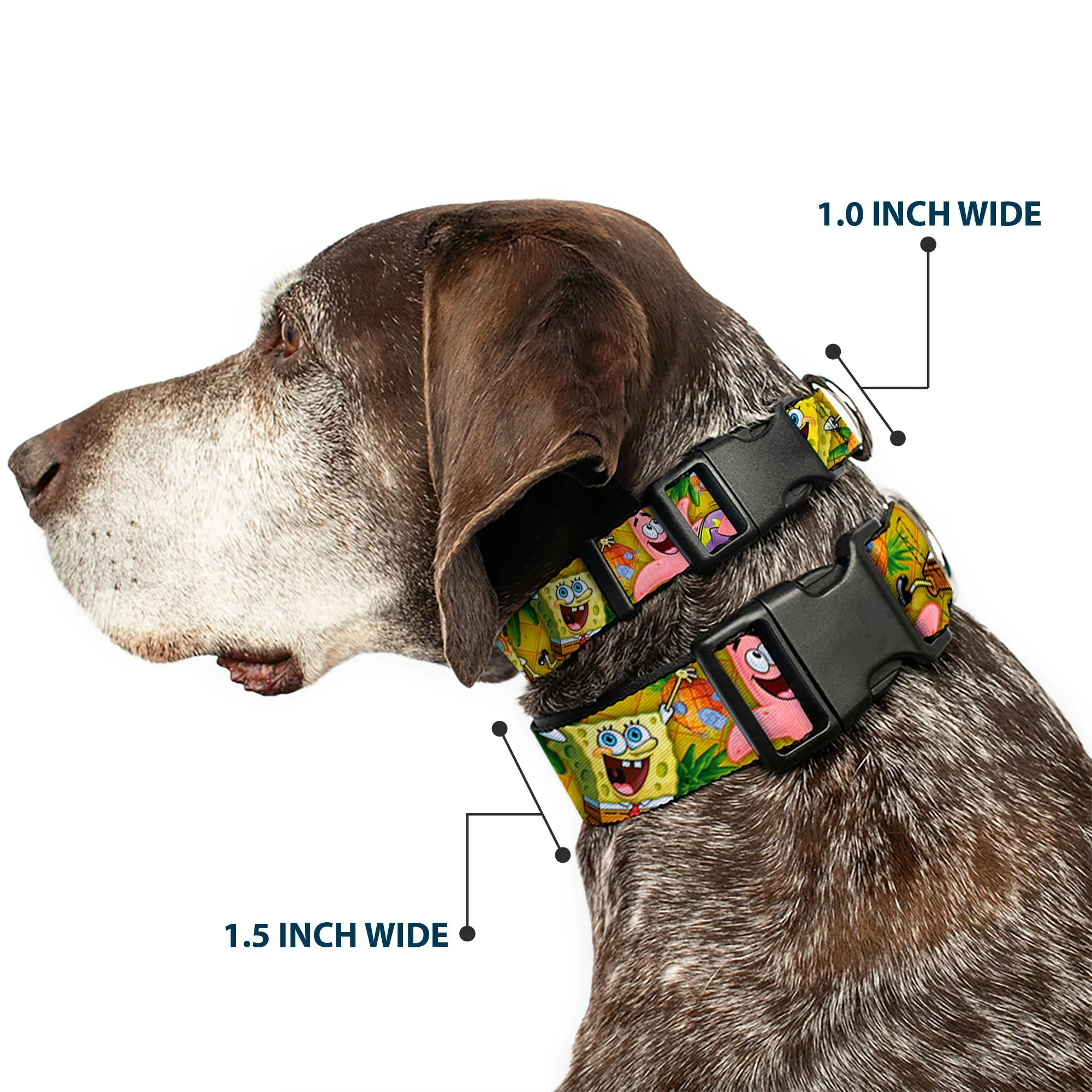 SpongeBob SquarePants Dog Collar SpongeBob & Patrick Starfish Poses Pineapple Design Gold - Image 2