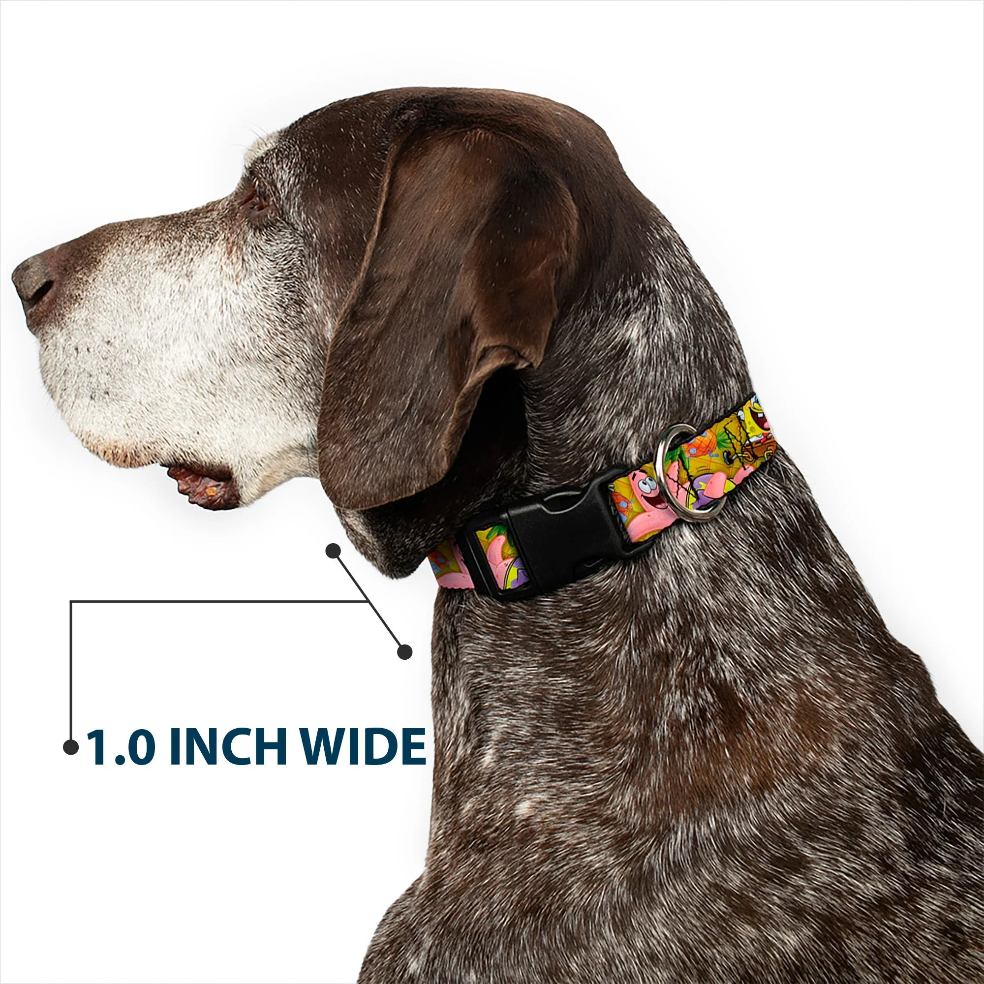 SpongeBob SquarePants Dog Collar SpongeBob & Patrick Starfish Poses Pineapple Design Gold - Image 6