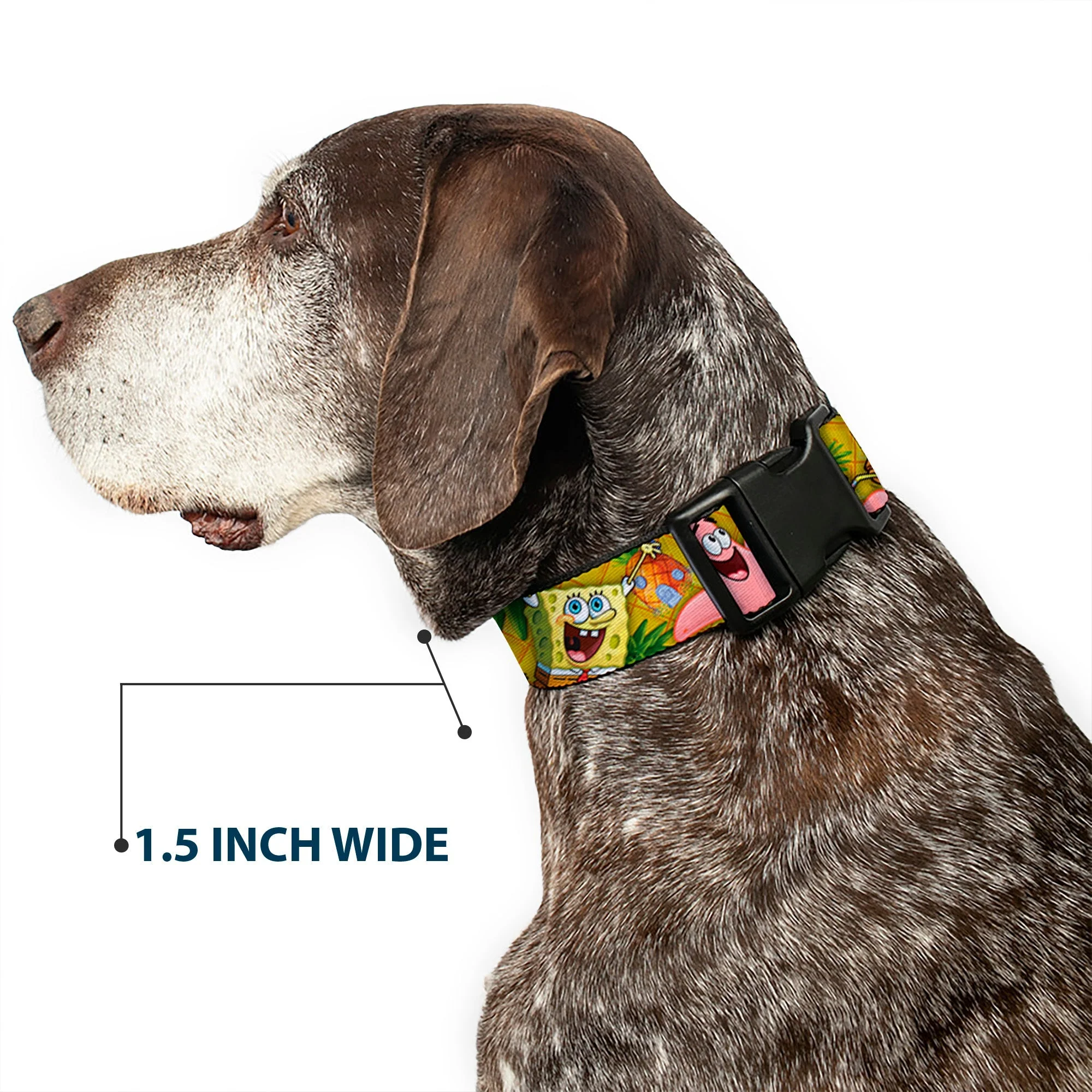 SpongeBob SquarePants Dog Collar SpongeBob & Patrick Starfish Poses Pineapple Design Gold - Image 7
