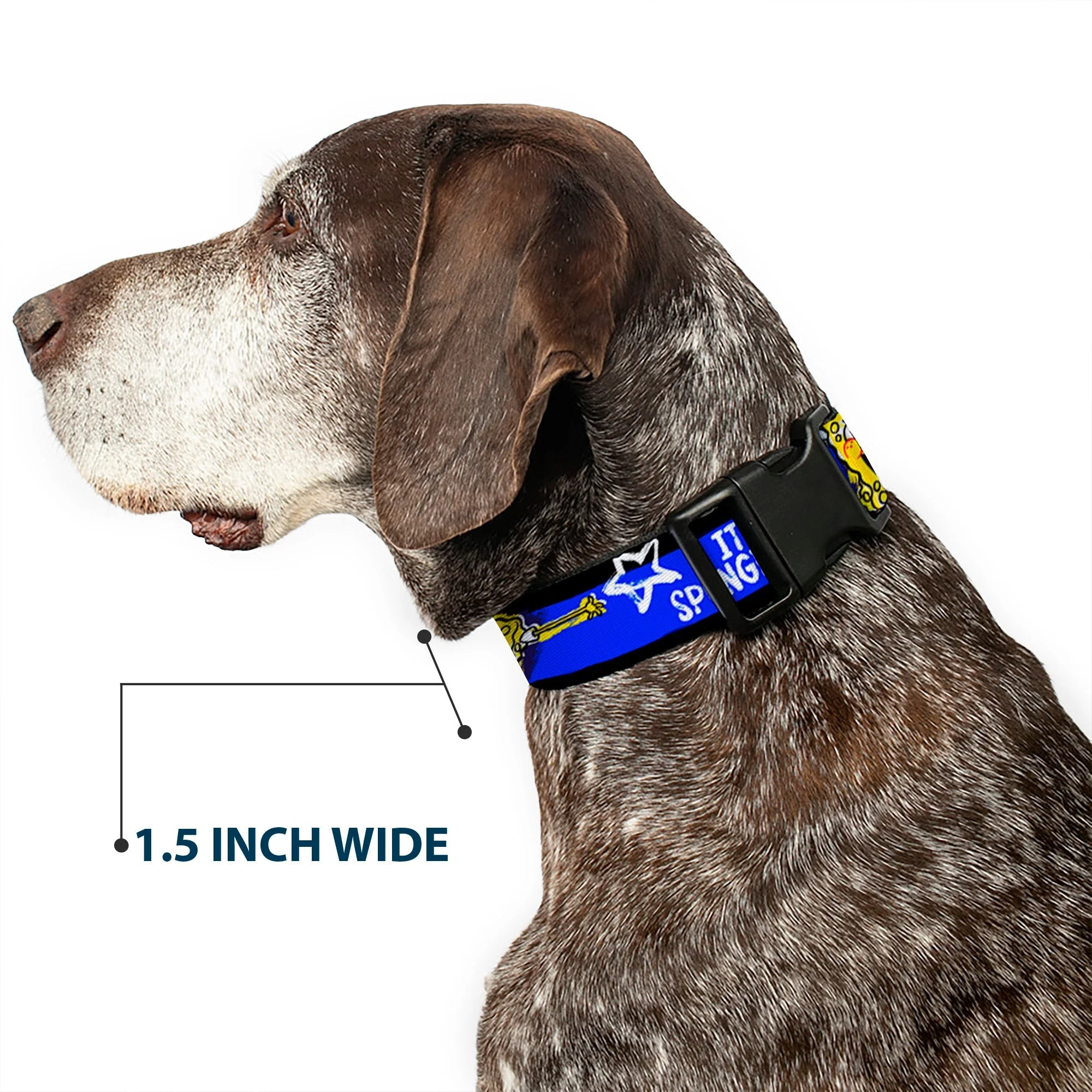 SpongeBob SquarePants Dog Collar Pose It's SpongeBob! Stripe Plastic Clip Black/Blue/White - Image 7