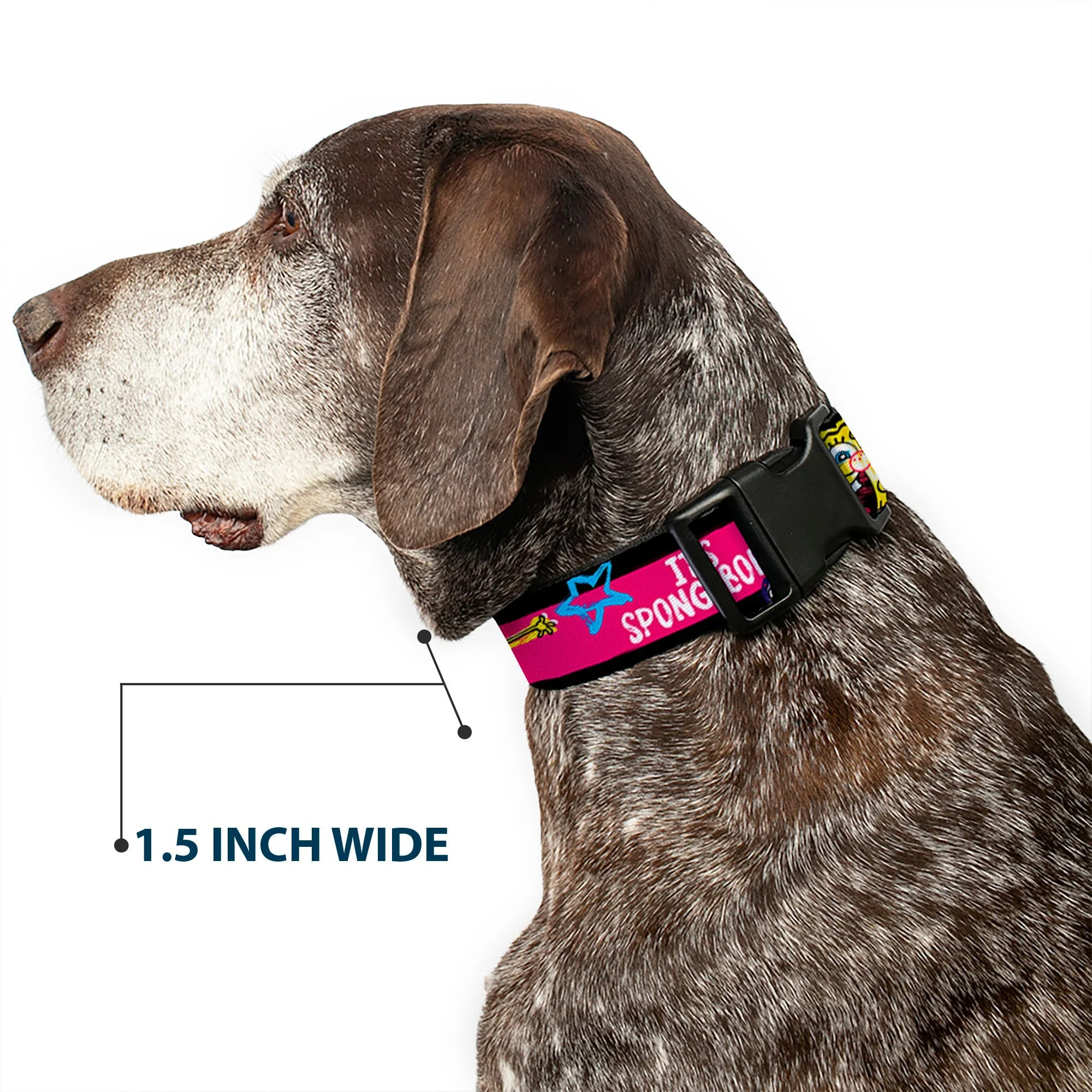SpongeBob SquarePants Dog Collar Pose Stripe Plastic Clip Black/Pink/Blue/White Adjustable - Image 7