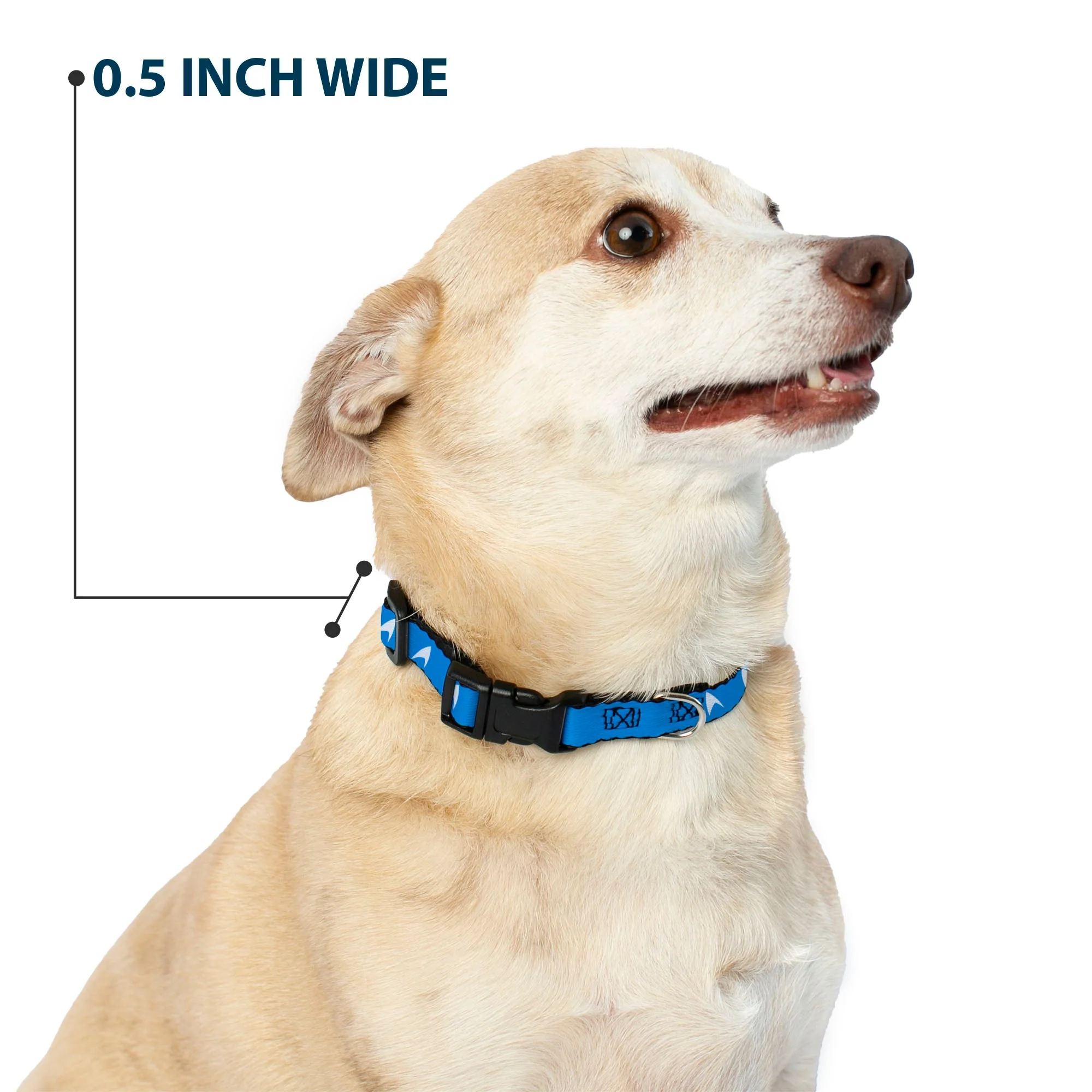 Star Trek Starfleet Insignia Blue Dog Collar with Clip - Image 8