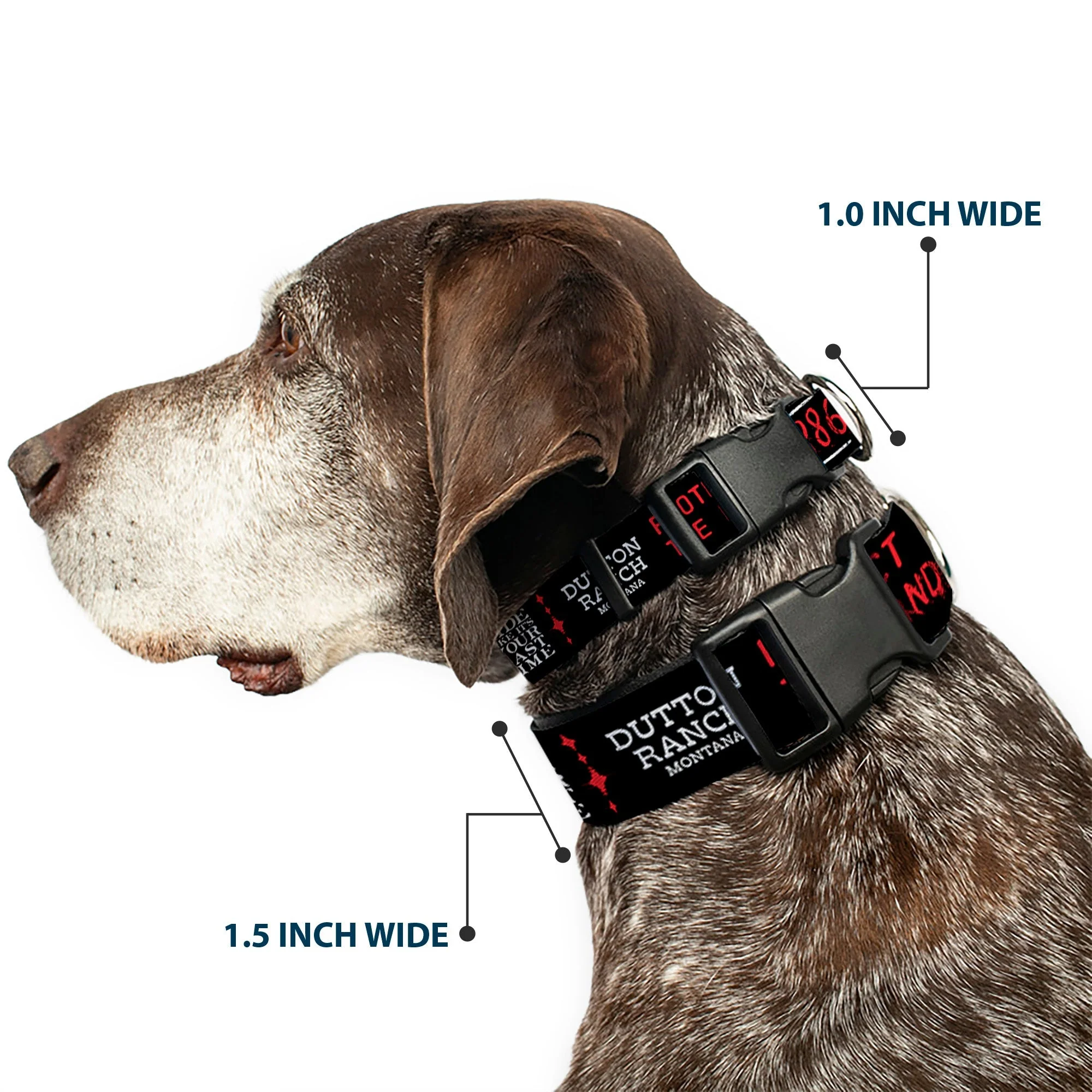 Yellowstone Dutton Ranch 1886 Icons Plastic Clip Dog Collar - Image 2