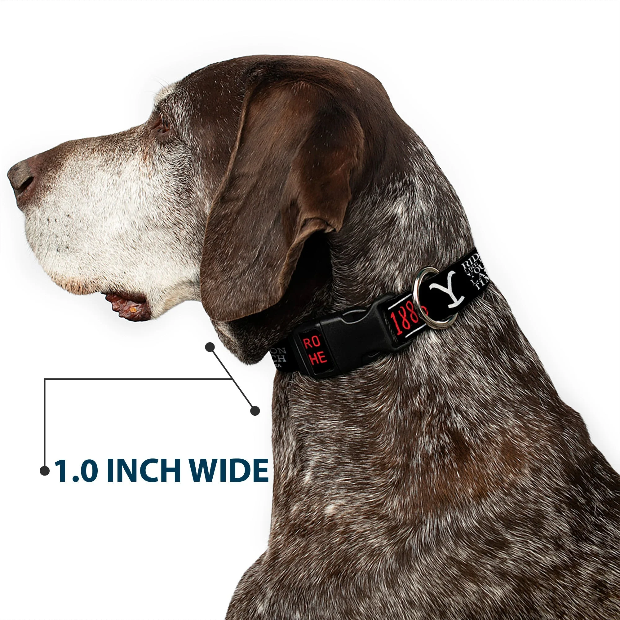 Yellowstone Dutton Ranch 1886 Icons Plastic Clip Dog Collar - Image 6