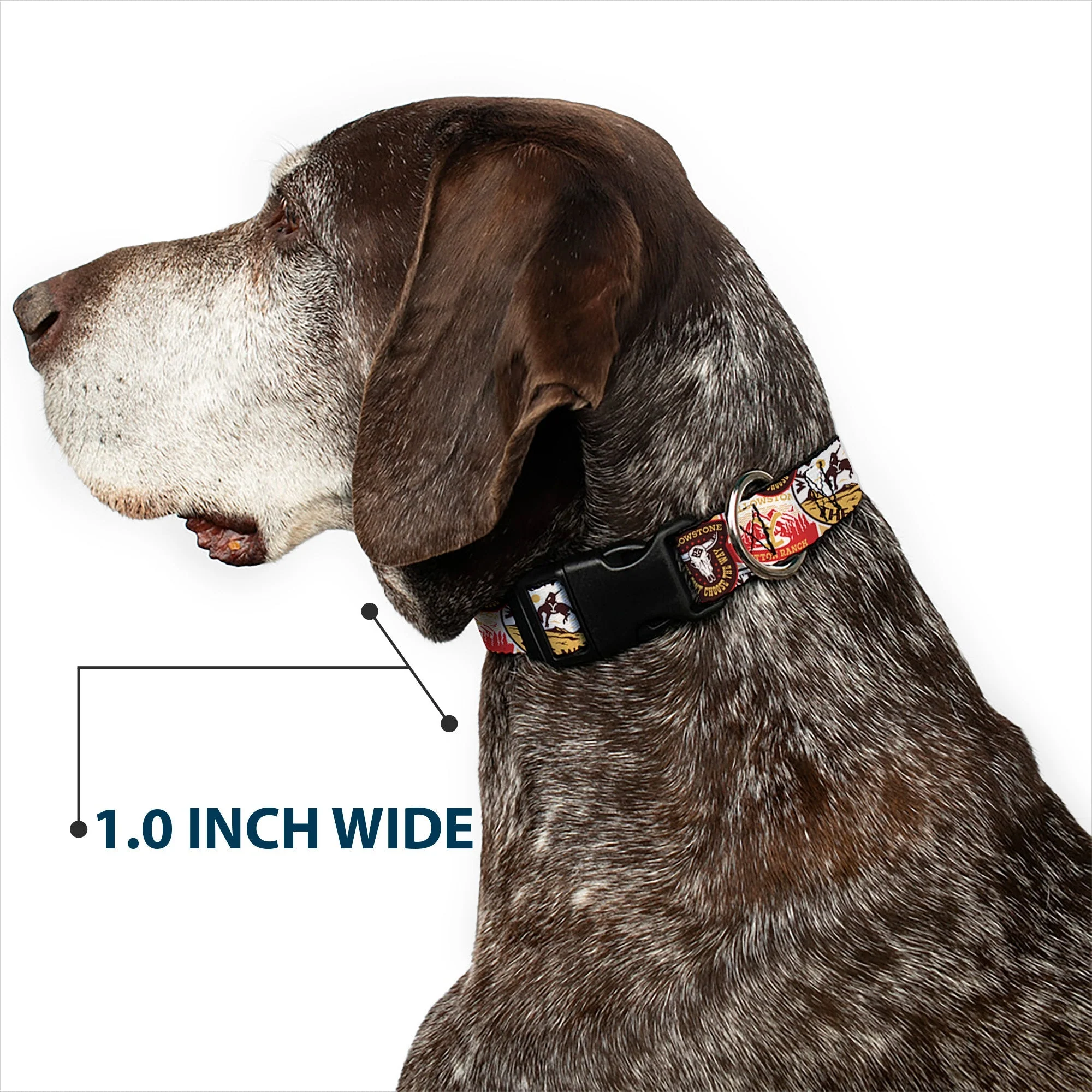 Yellowstone Patches Stacked Plastic Clip Dog Collar - Image 6