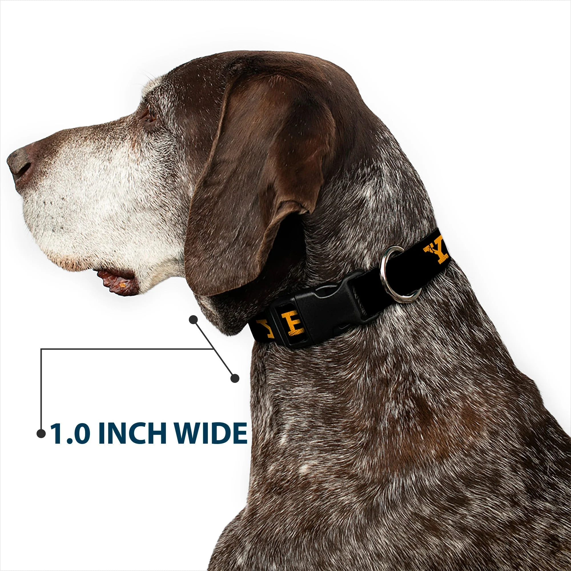 Yellowstone Weathered Y Logo Plastic Clip Dog Collar - Image 6