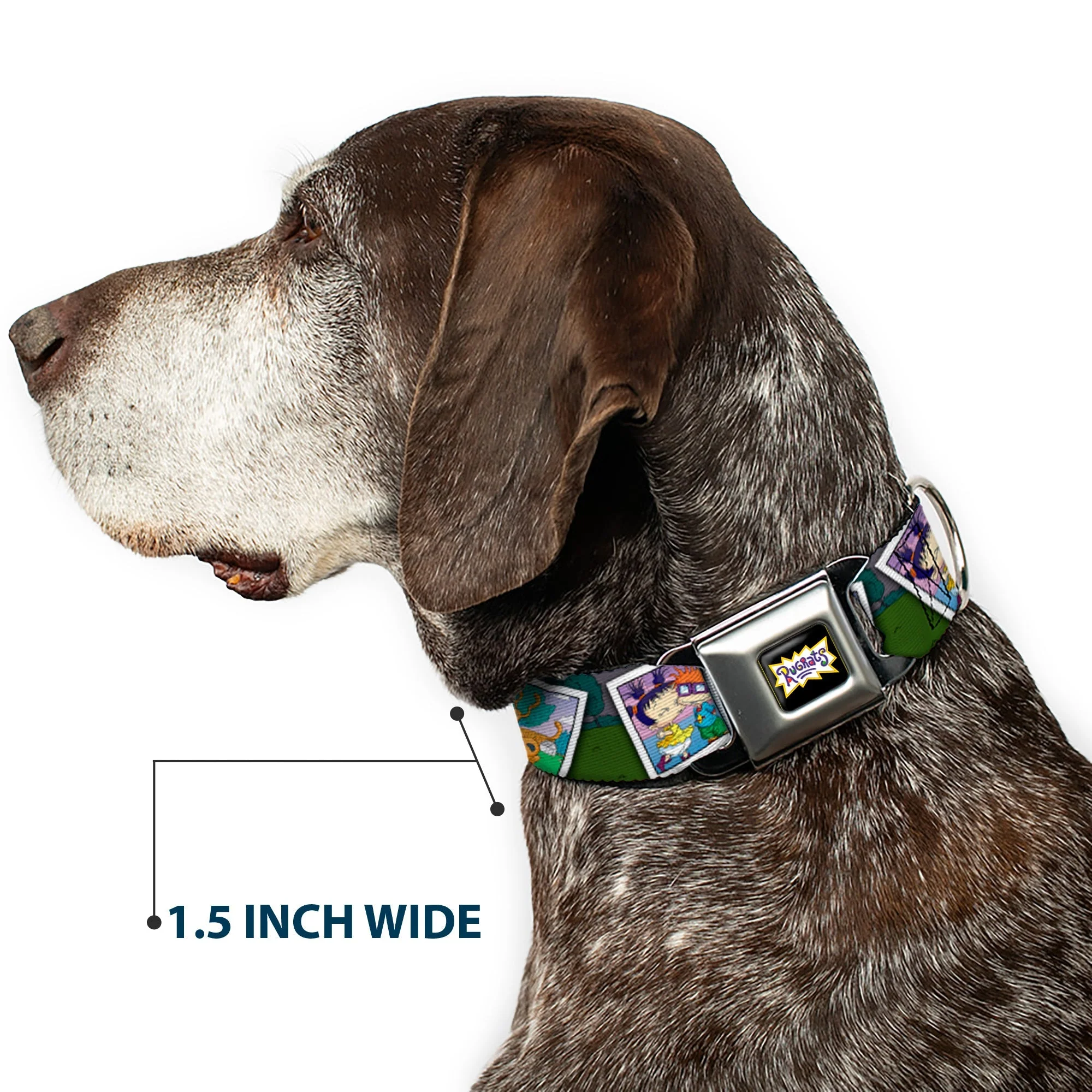 Rugrats Character Snapshots Seatbelt Buckle Dog Collar - Image 7